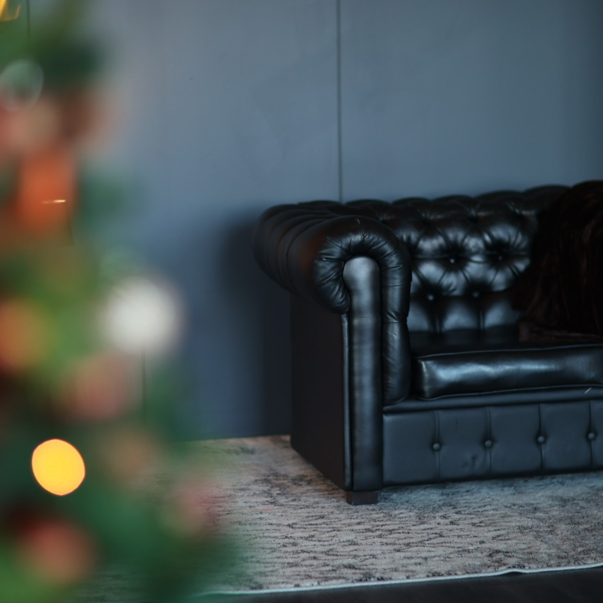 Прайс на новогодние фотосъемки. Свадебный и семейный фотограф Евгения Хомчановская