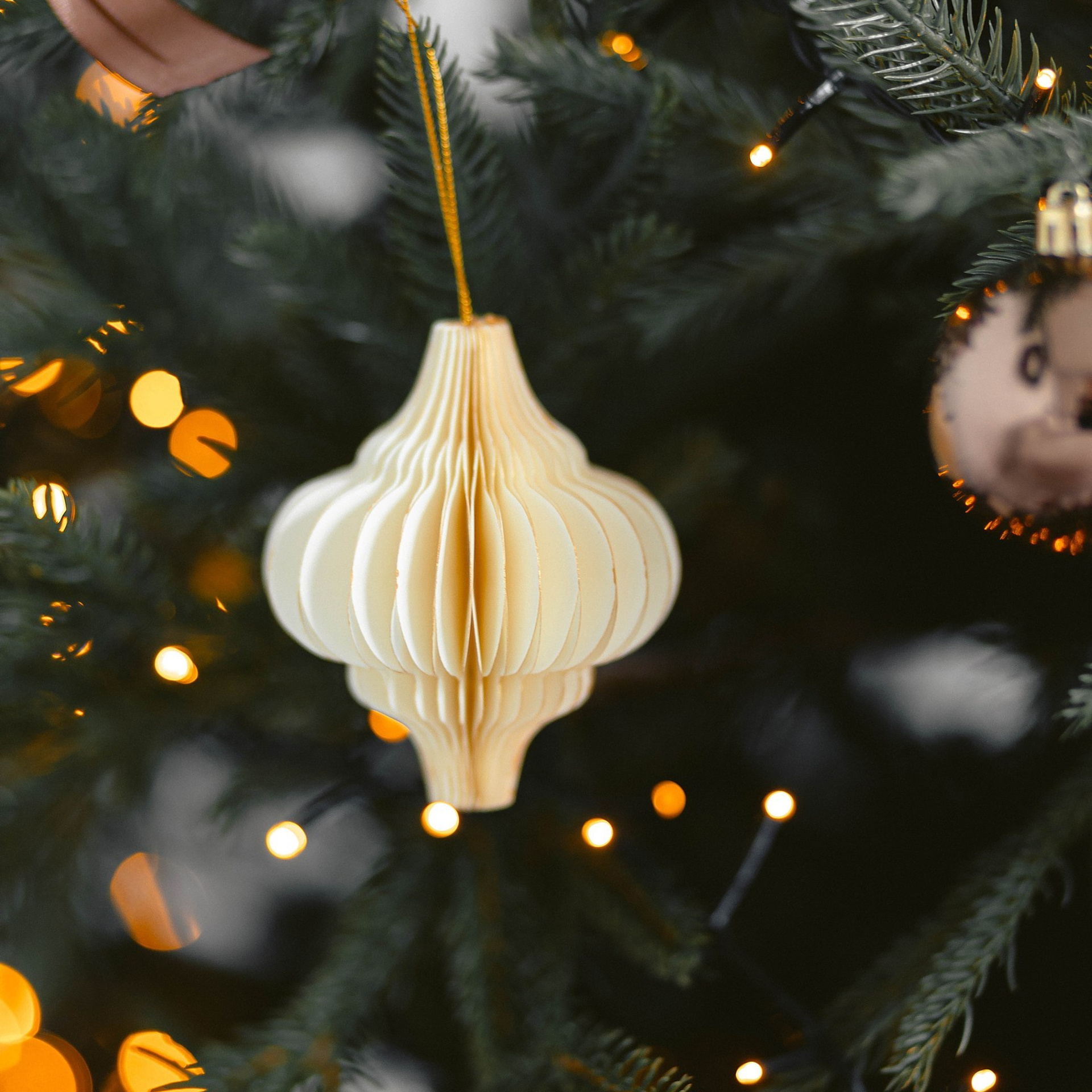 Прайс на новогодние фотосъемки. Свадебный и семейный фотограф Евгения Хомчановская