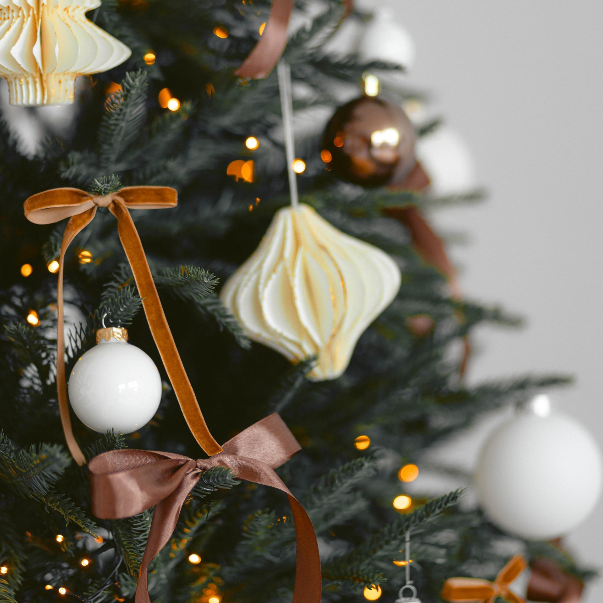 Прайс на новогодние фотосъемки. Свадебный и семейный фотограф Евгения Хомчановская