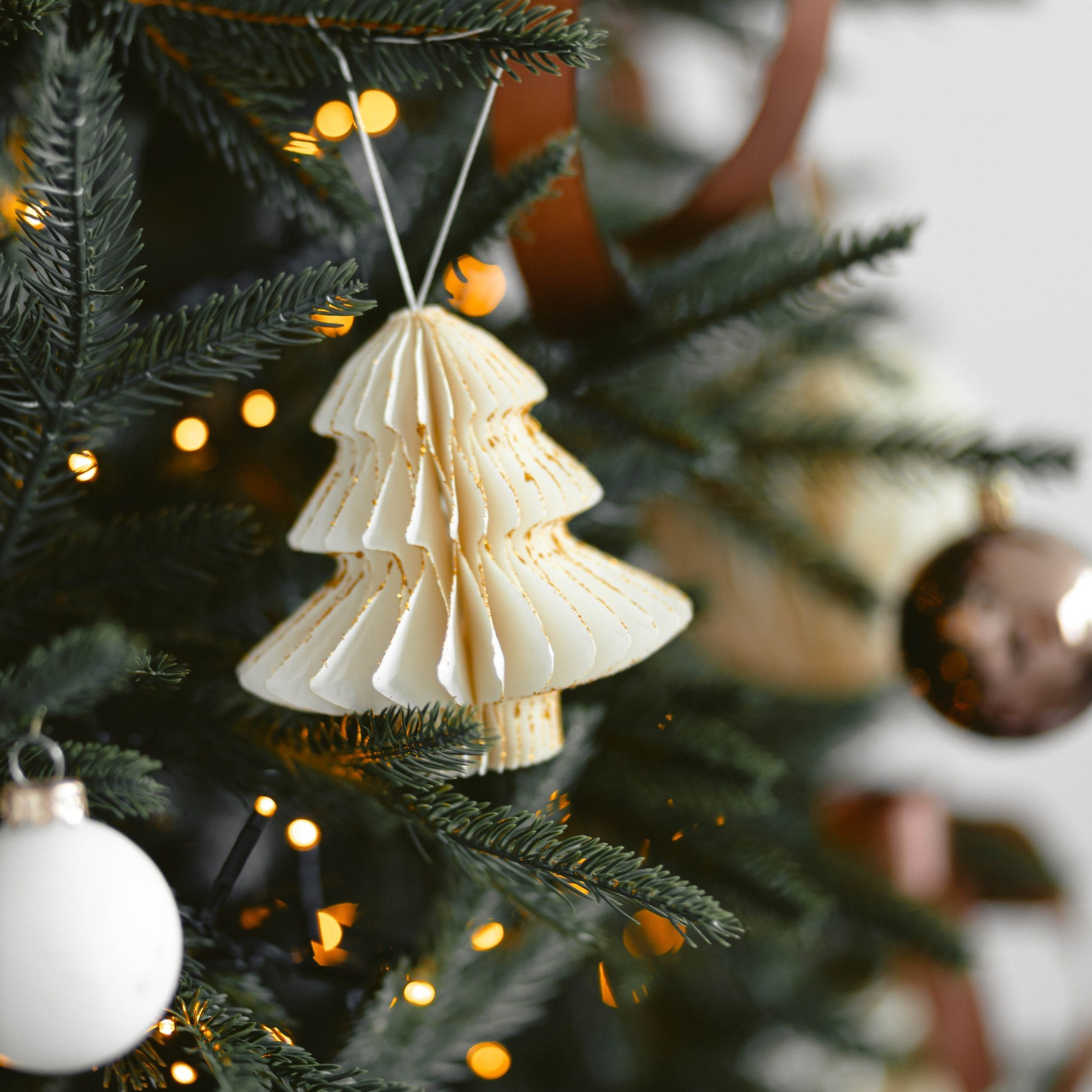 Прайс на новогодние фотосъемки. Свадебный и семейный фотограф Евгения Хомчановская