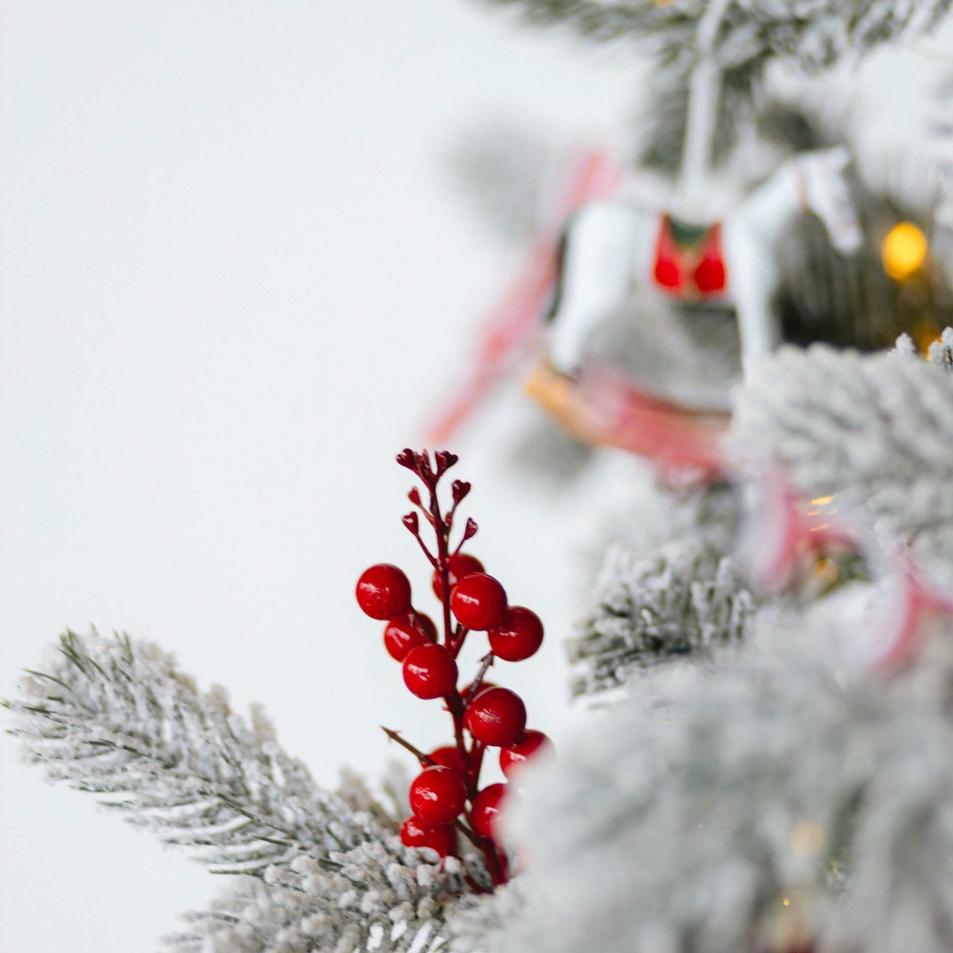 Прайс на новогодние фотосъемки. Свадебный и семейный фотограф Евгения Хомчановская