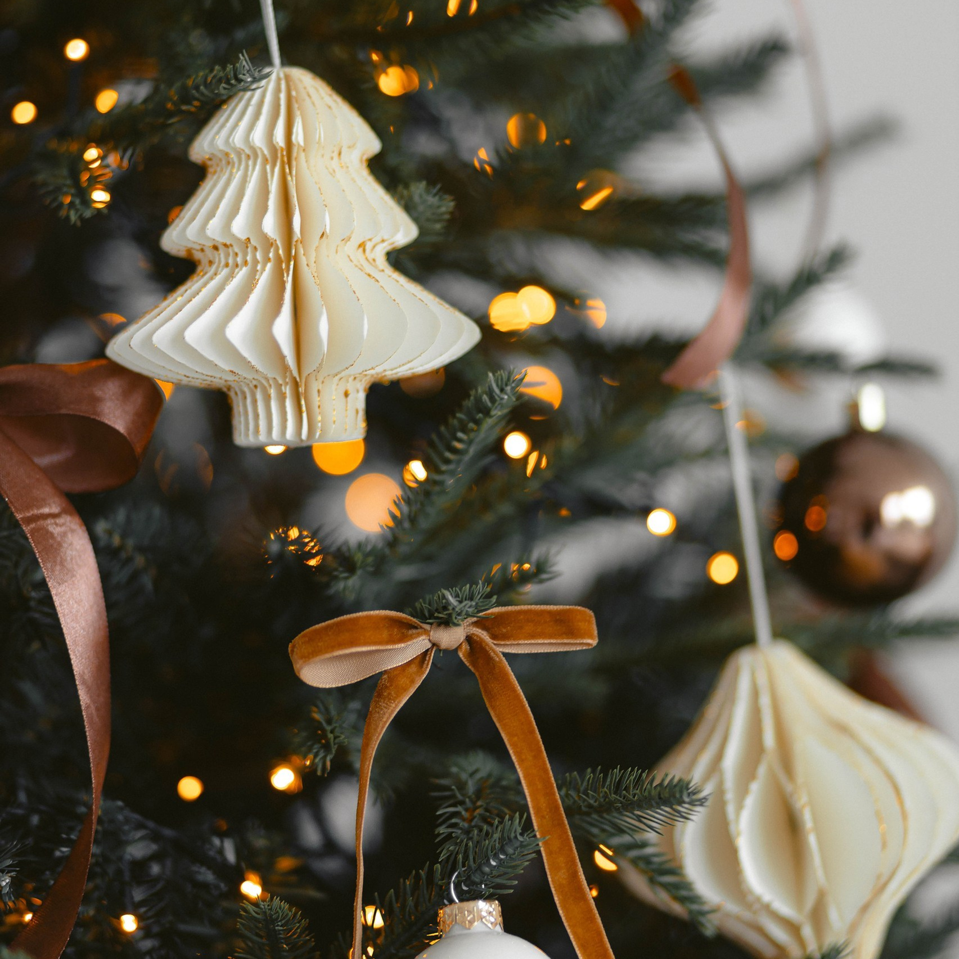 Прайс на новогодние фотосъемки. Свадебный и семейный фотограф Евгения Хомчановская