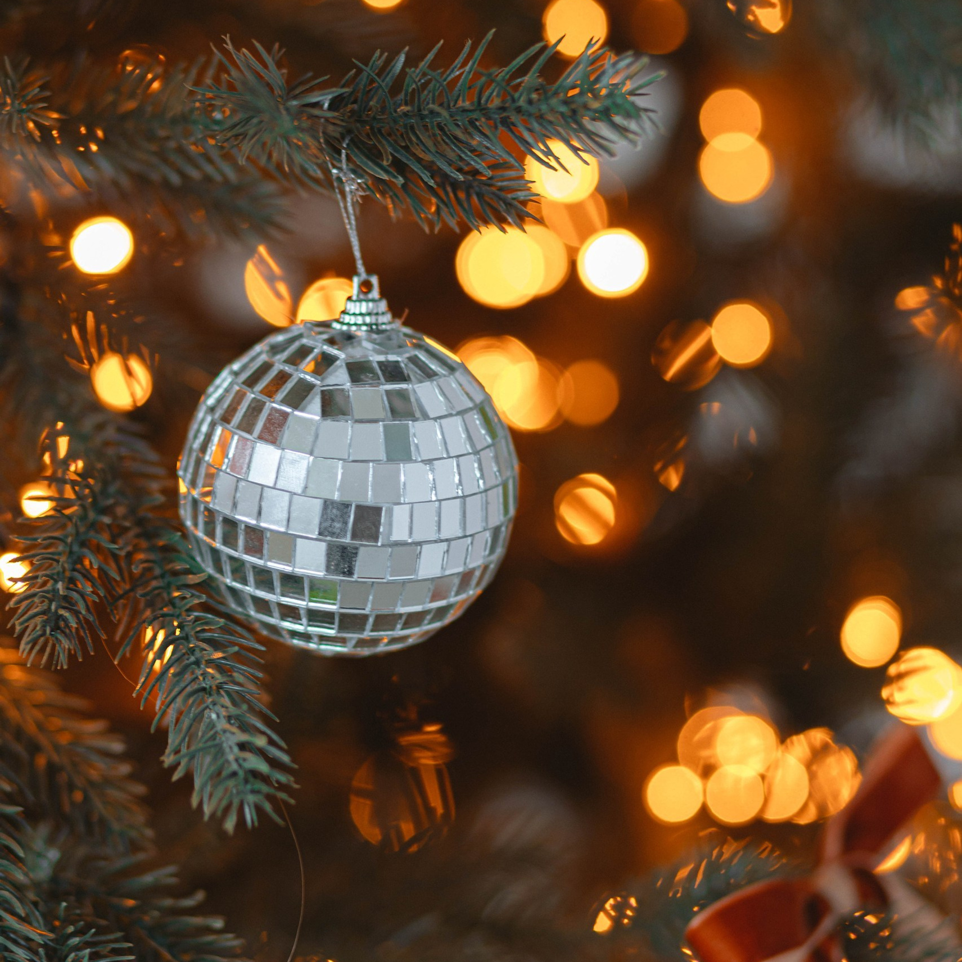 Прайс на новогодние фотосъемки. Свадебный и семейный фотограф Евгения Хомчановская