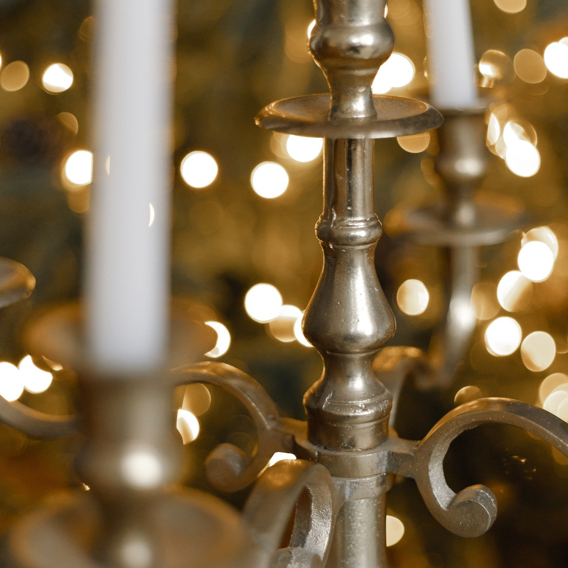 Прайс на новогодние фотосъемки. Свадебный и семейный фотограф Евгения Хомчановская