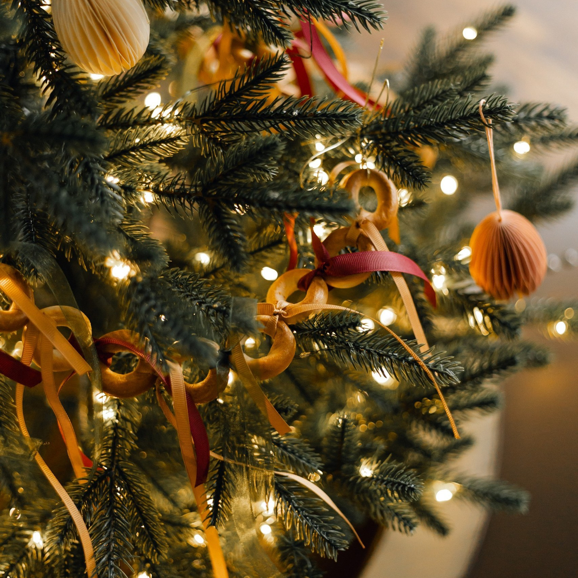 Прайс на новогодние фотосъемки. Свадебный и семейный фотограф Евгения Хомчановская