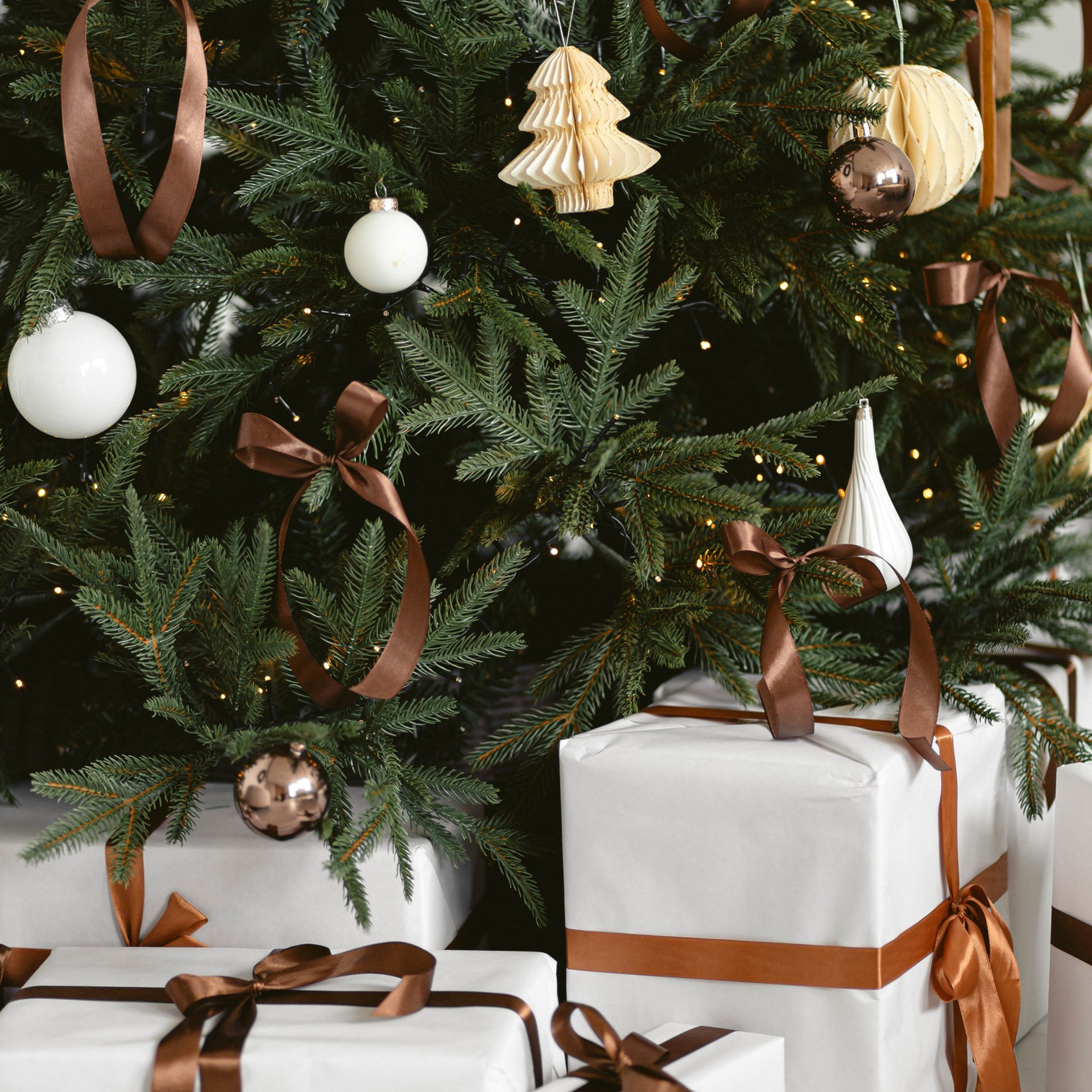 Прайс на новогодние фотосъемки. Свадебный и семейный фотограф Евгения Хомчановская