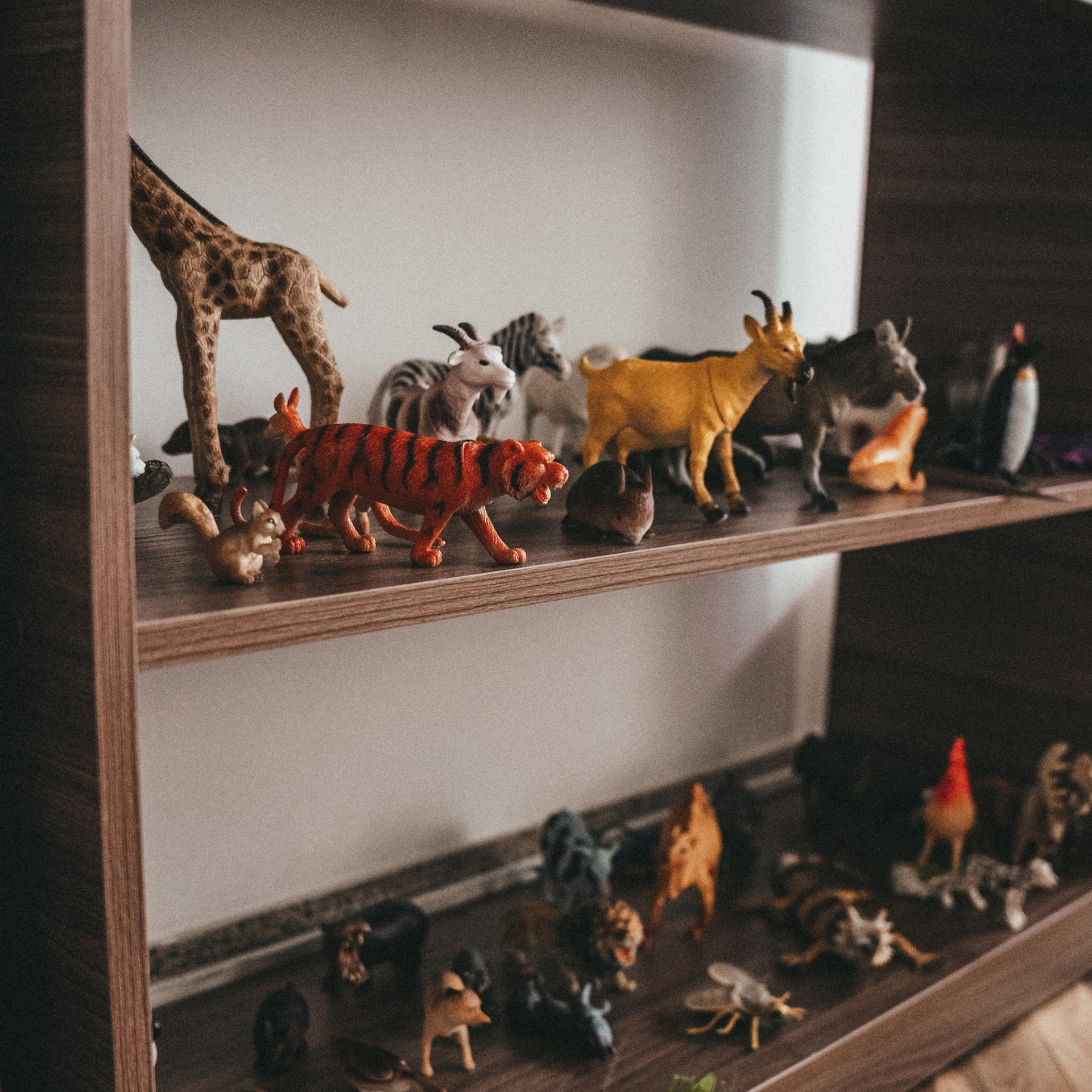 Отзывы. Семейный фотограф в Алматы Анжелика Али Номан