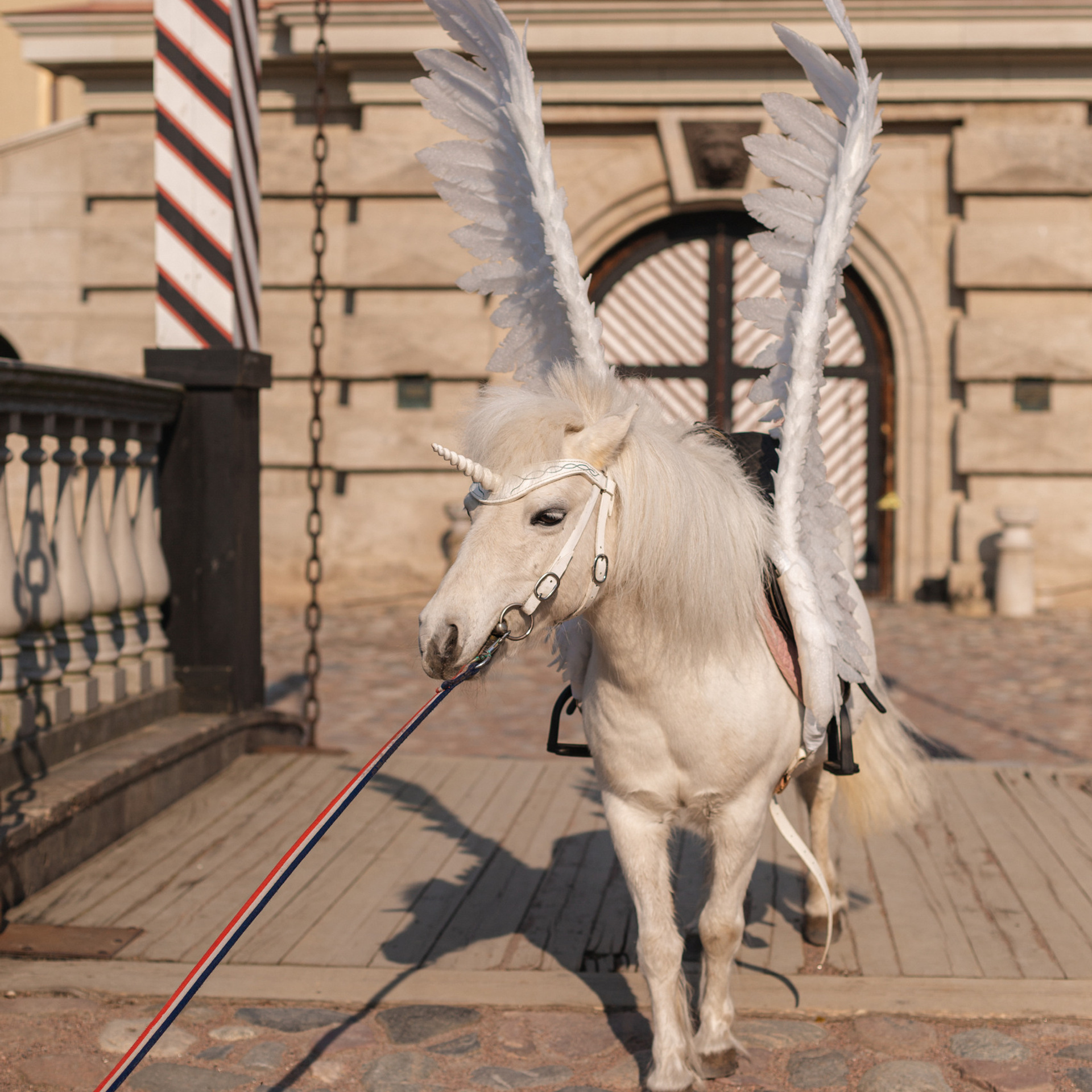 Отзывы. Семейный фотограф в Санкт-Петербурге Любовь Савкина