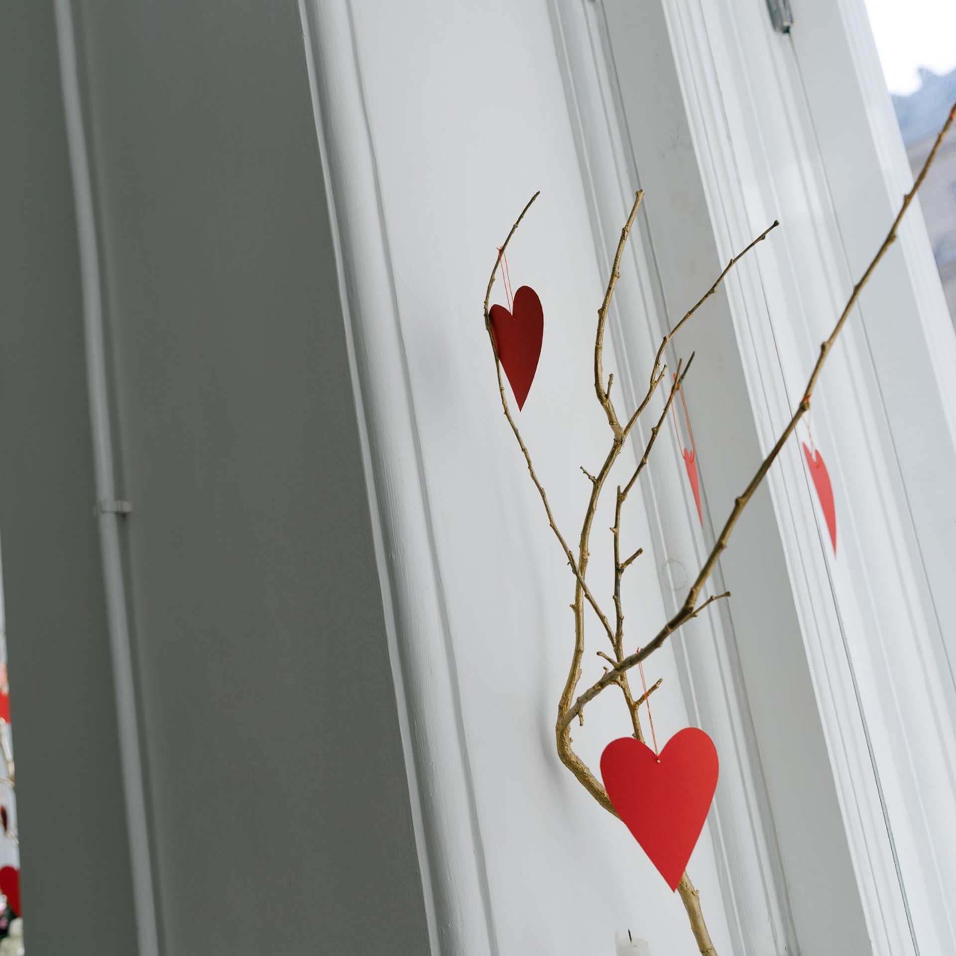 Отзывы. Репортажный фотограф в Санкт-Петербурге Жолудев Владислав