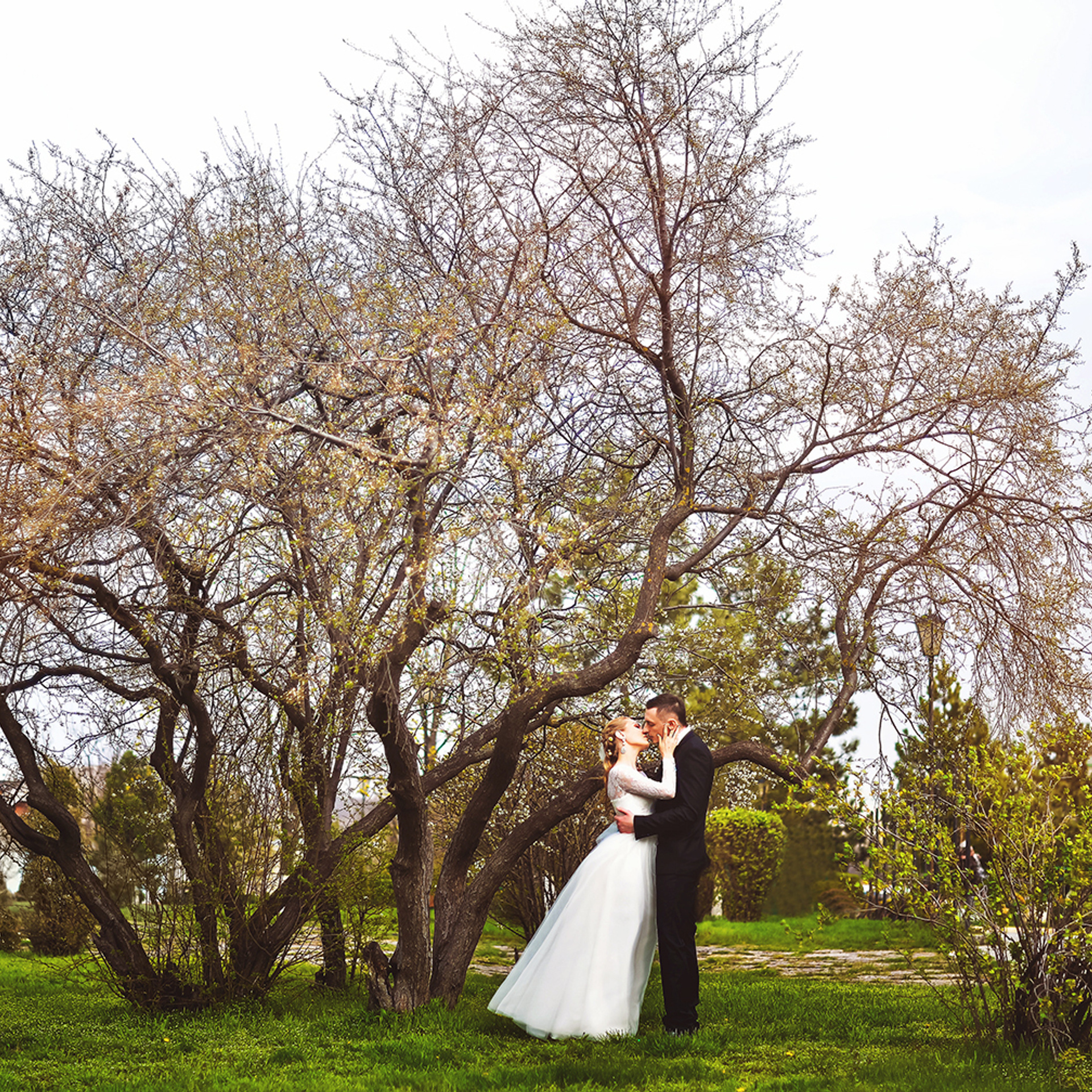 Отзывы о работе фотографа Елены Сторожок. Свадебный и семейный фотограф в Ростове-на-Дону Елена Сторожок