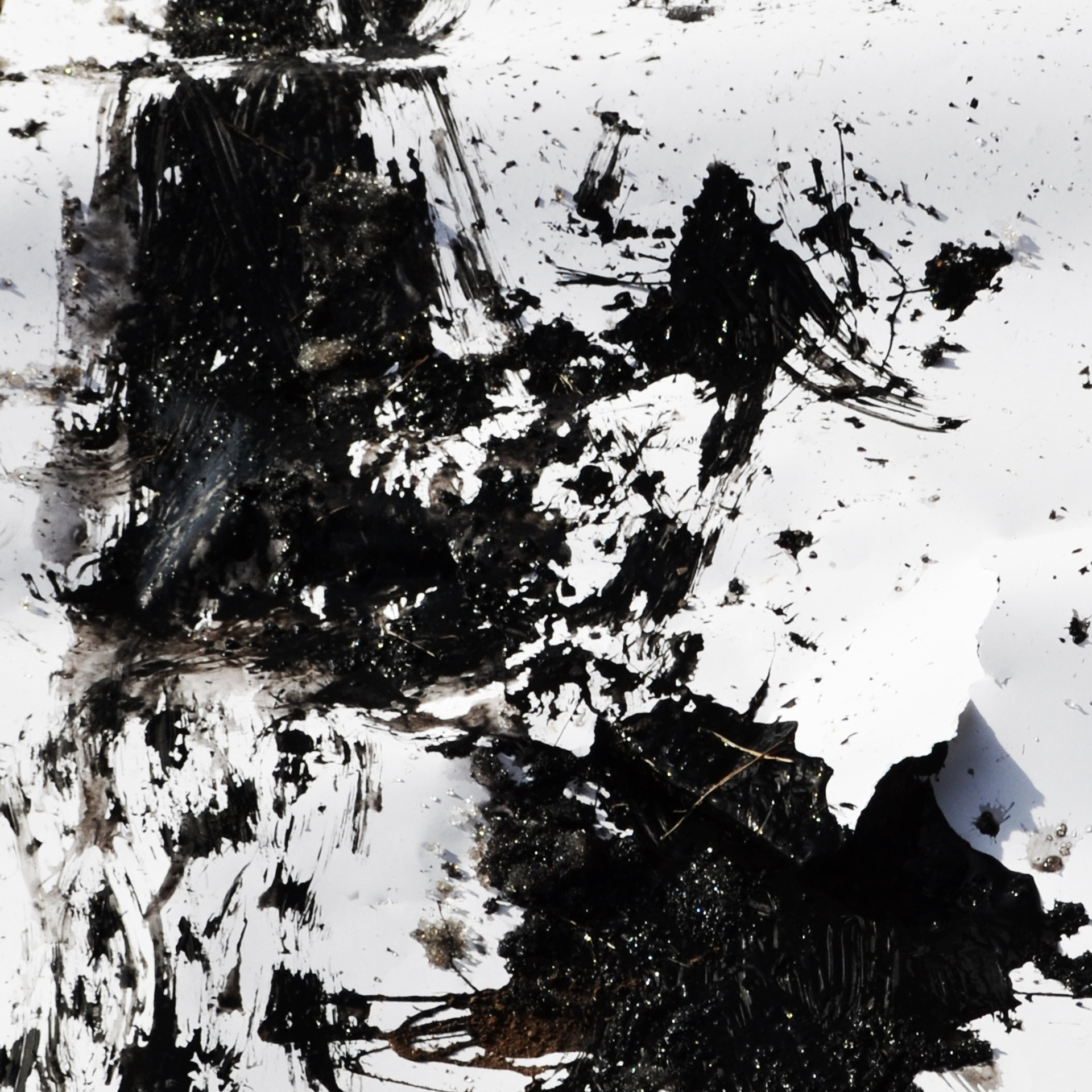 Проект группы «ЧЕ» «Petra scandali»