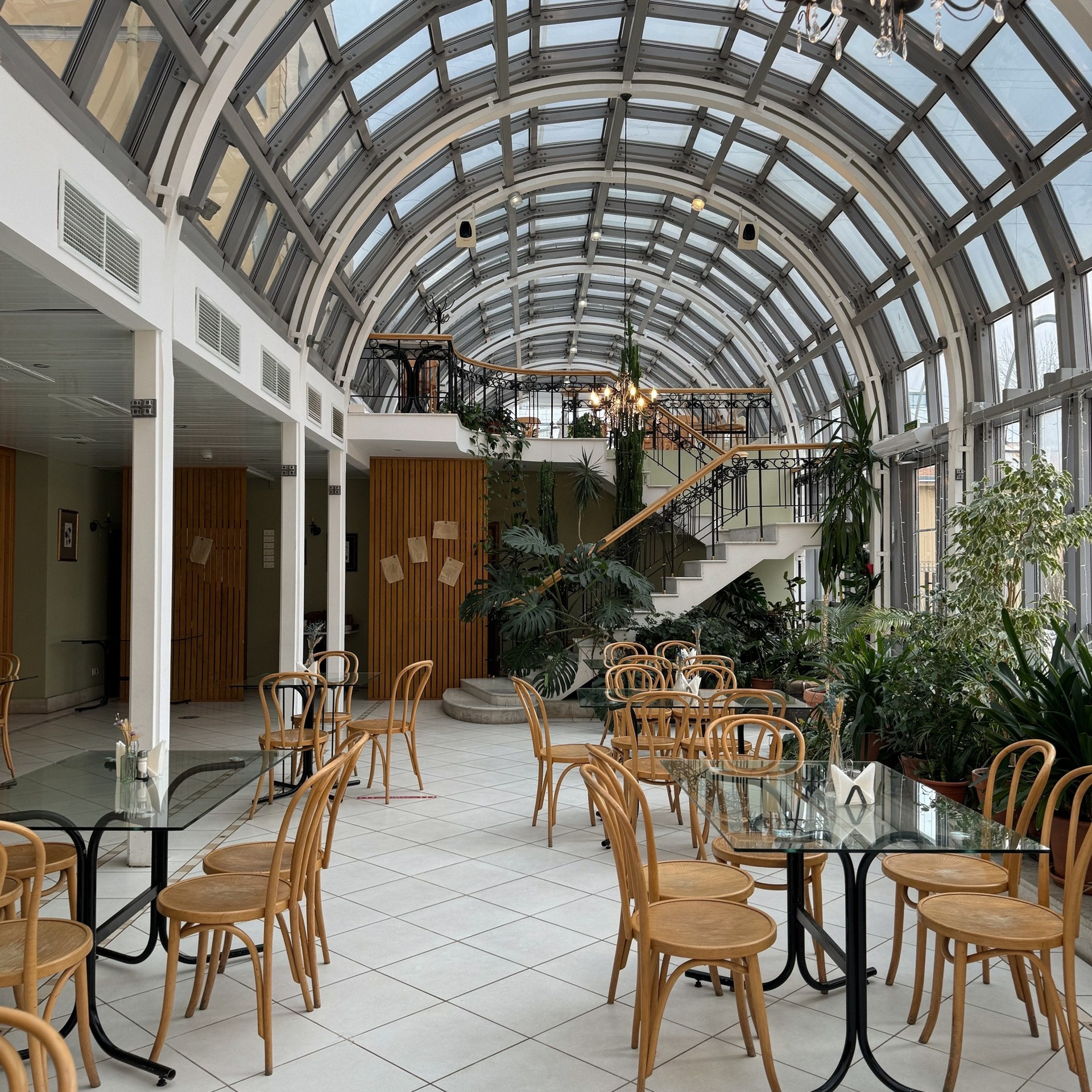 Мое оборудование для пленочной съемки | Техника. Пленочный фотограф в СПб | Портреты на пленку | Ксения Давыдова