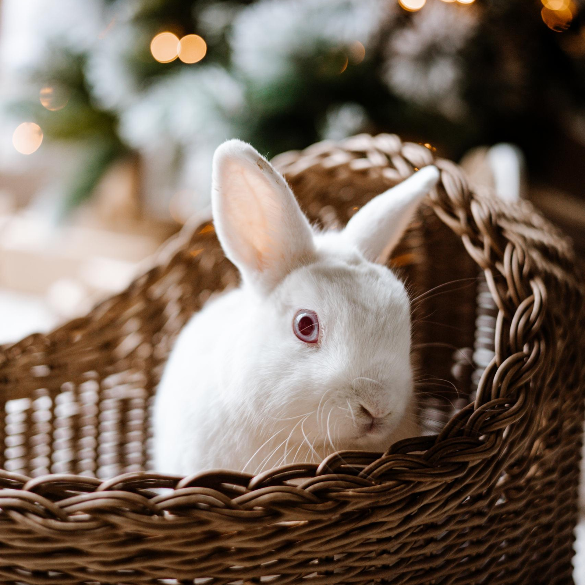 Фотограф Калуга. Отзывы. Фотограф Калуга