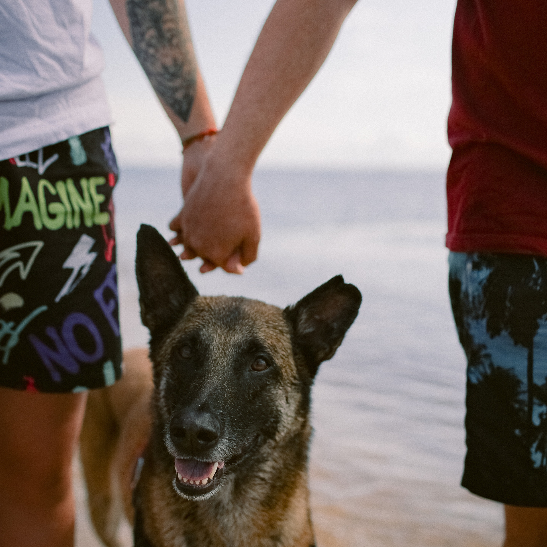 Отзывы. Семейный домашний фотограф Москва Зеленоград Настя Маркова