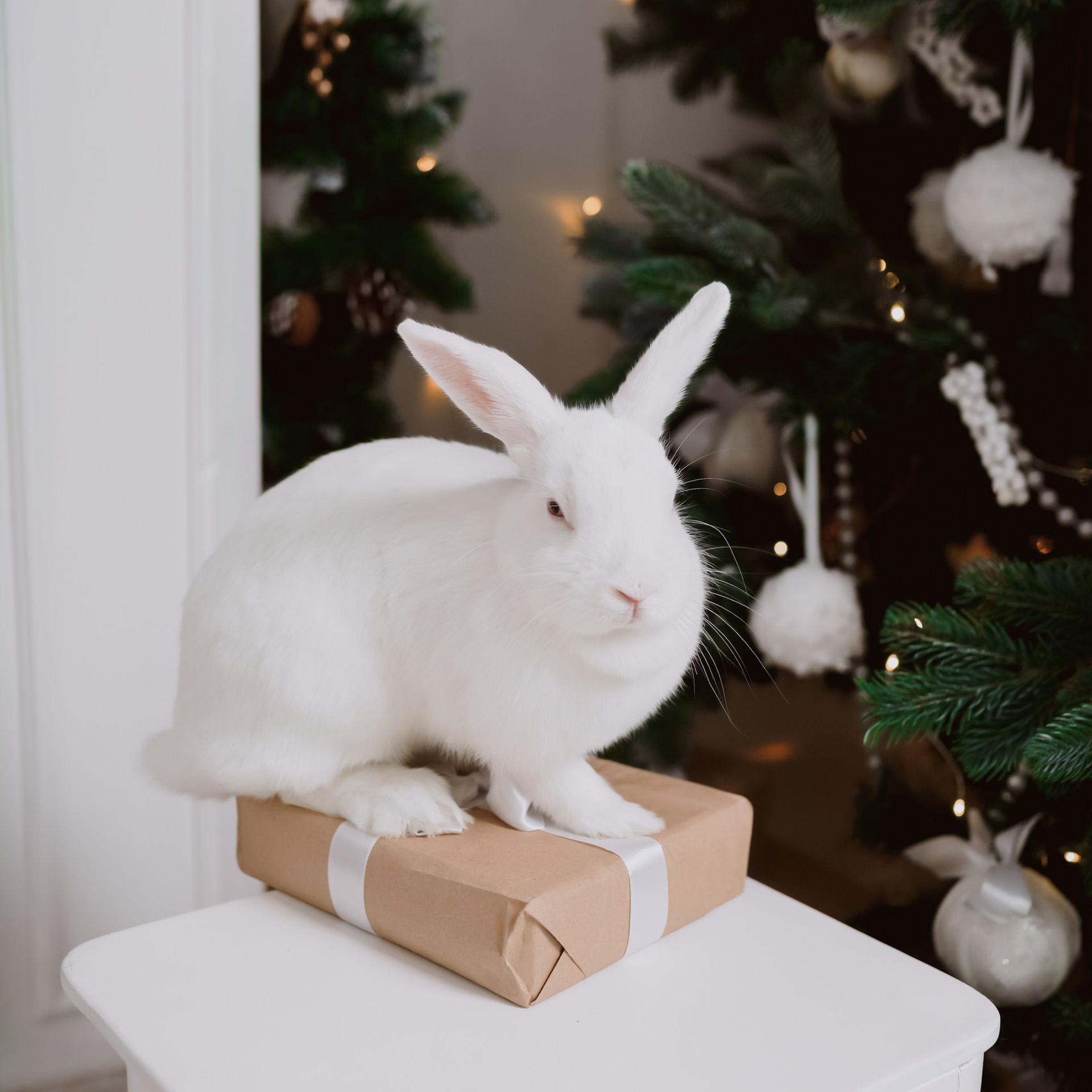 Напишите мне отзыв о моей работе. Детский, семейный фотограф: newborn, беременность, годовасие, репортаж. Москва
