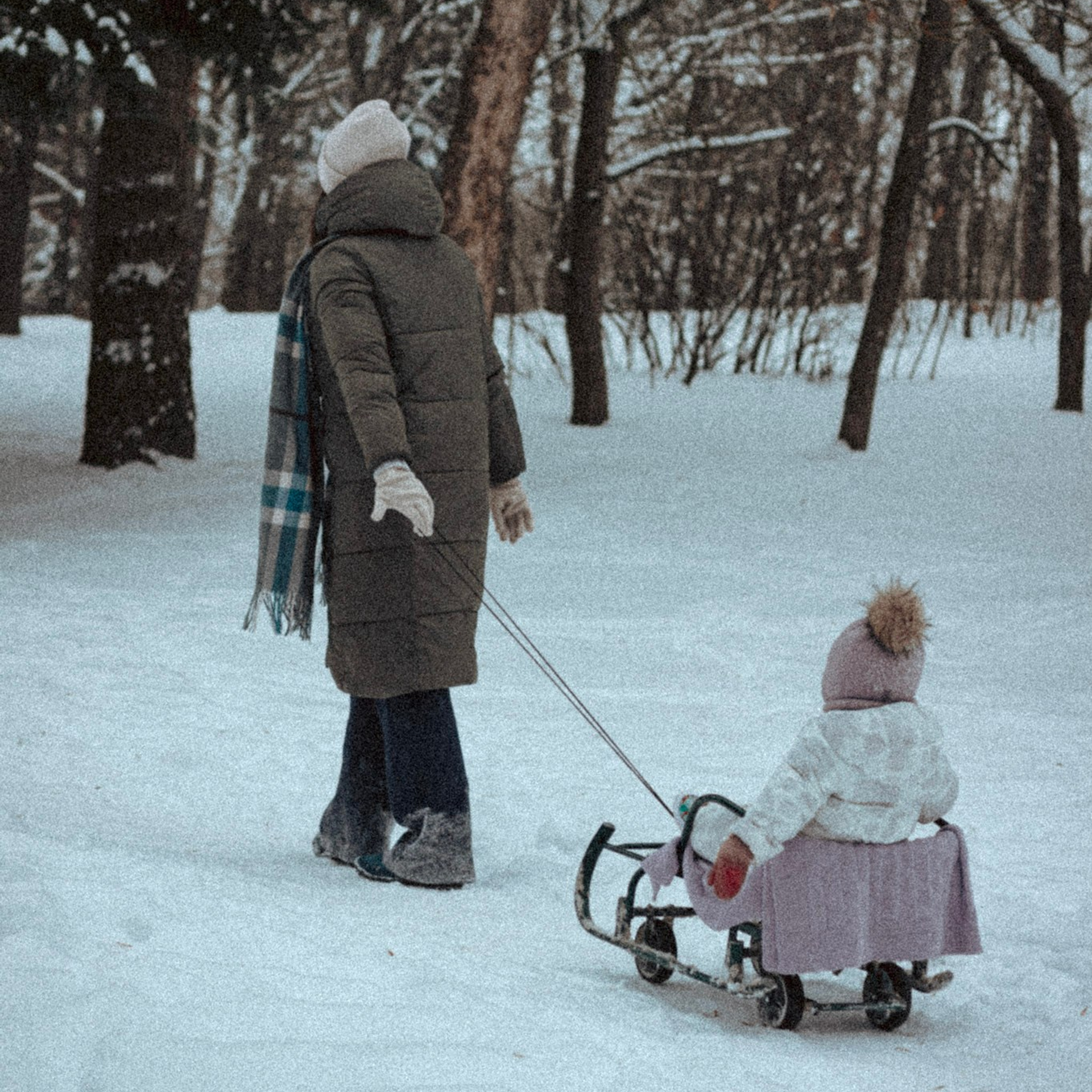 Зимняя прогулка