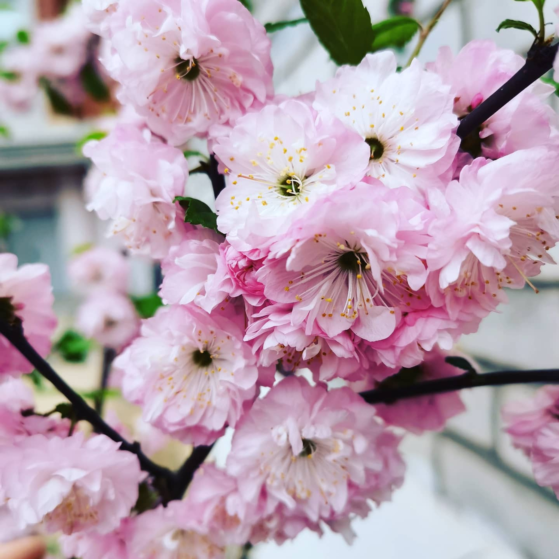 Отзывы. Фотограф Светлана Анисимова обучение фото видео рилс