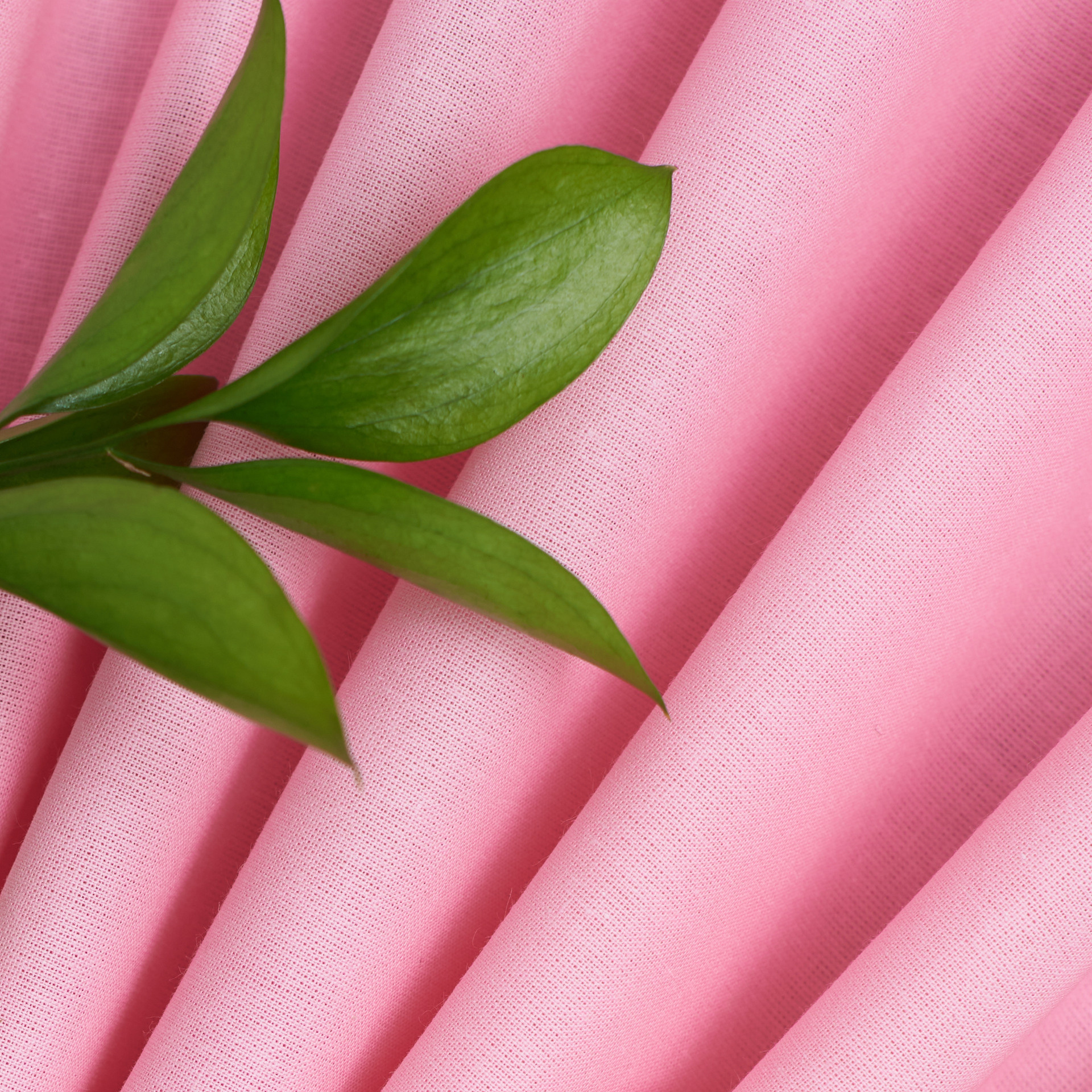 Отзывы. Коммерческий фотограф Соколовская Анастасия