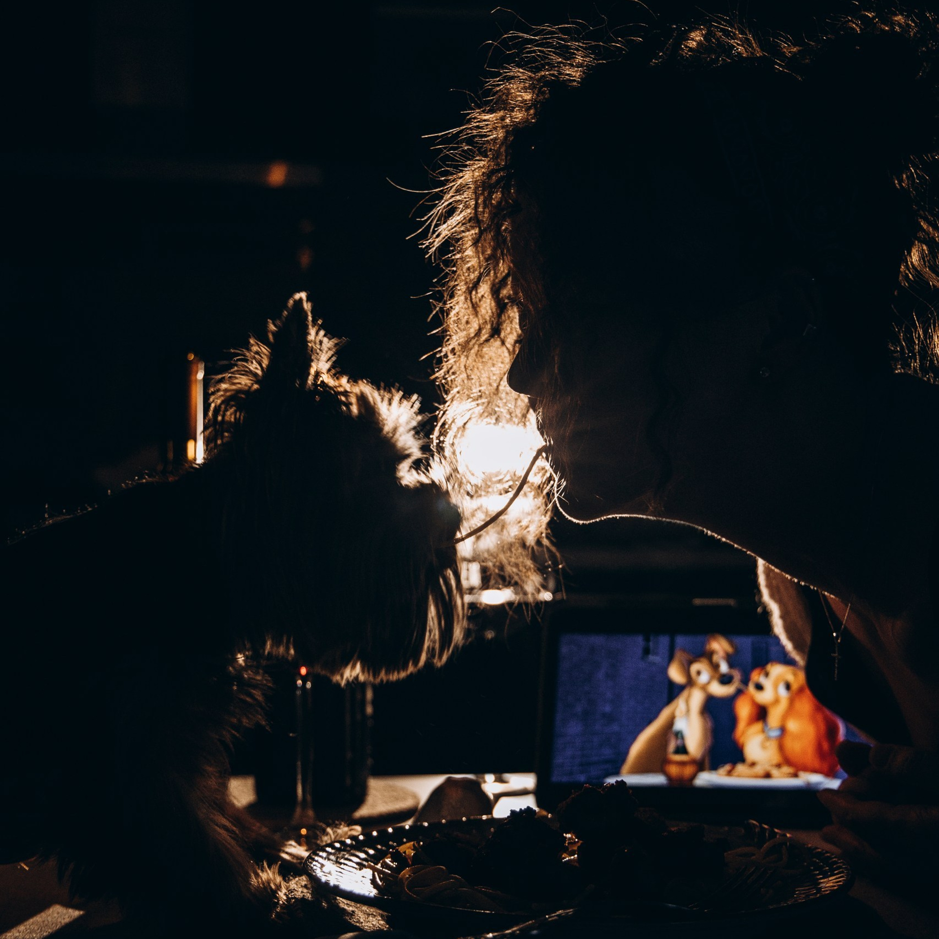 Отзывы. Фотограф — Анималист | Санкт-Петербург