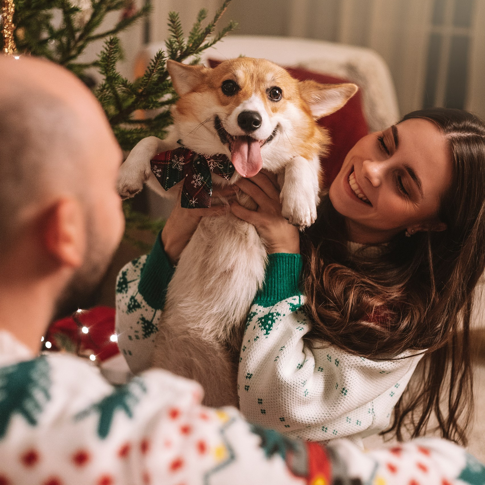 Отзывы. Фотограф — Анималист | Санкт-Петербург