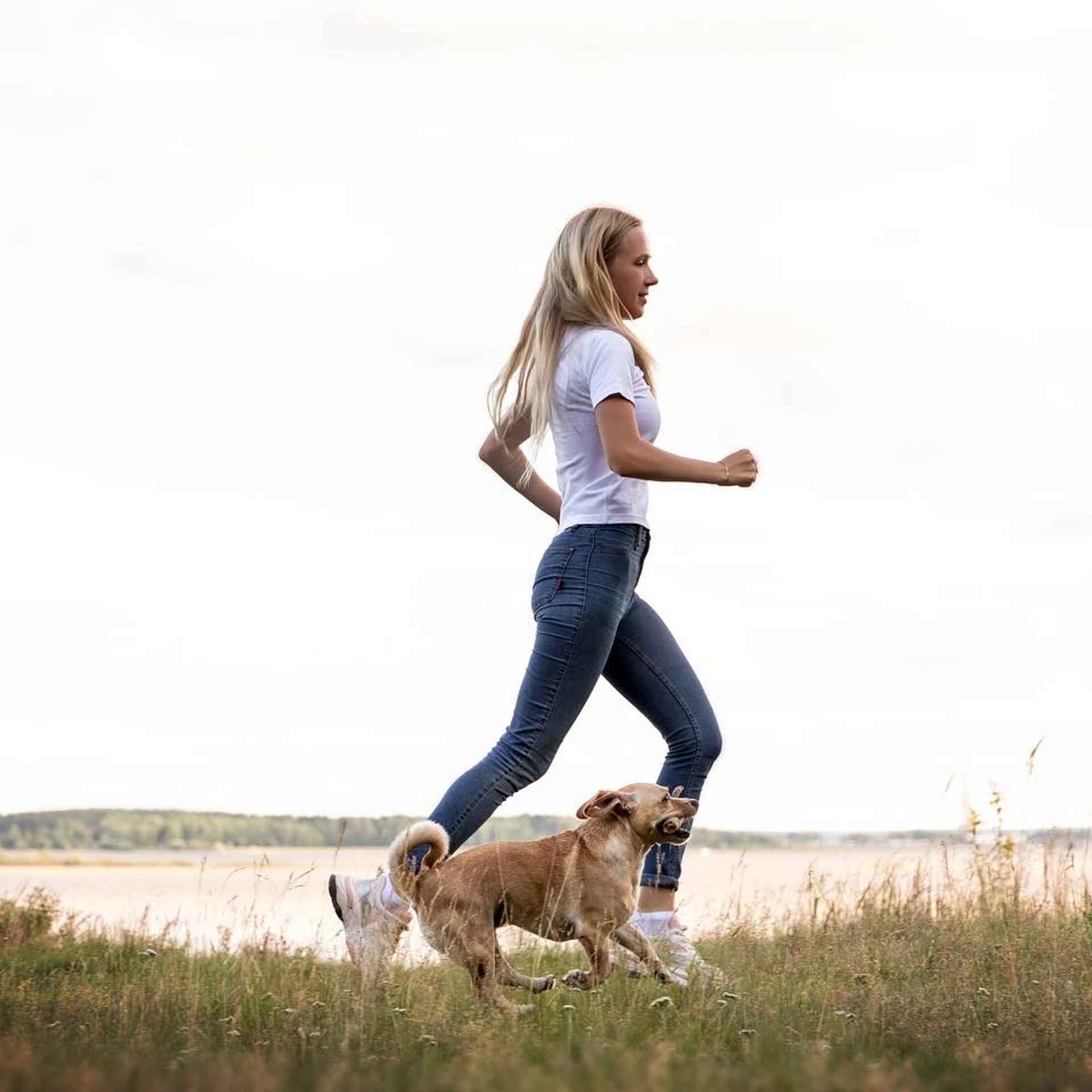 Отзывы. Фотограф — Анималист | Санкт-Петербург