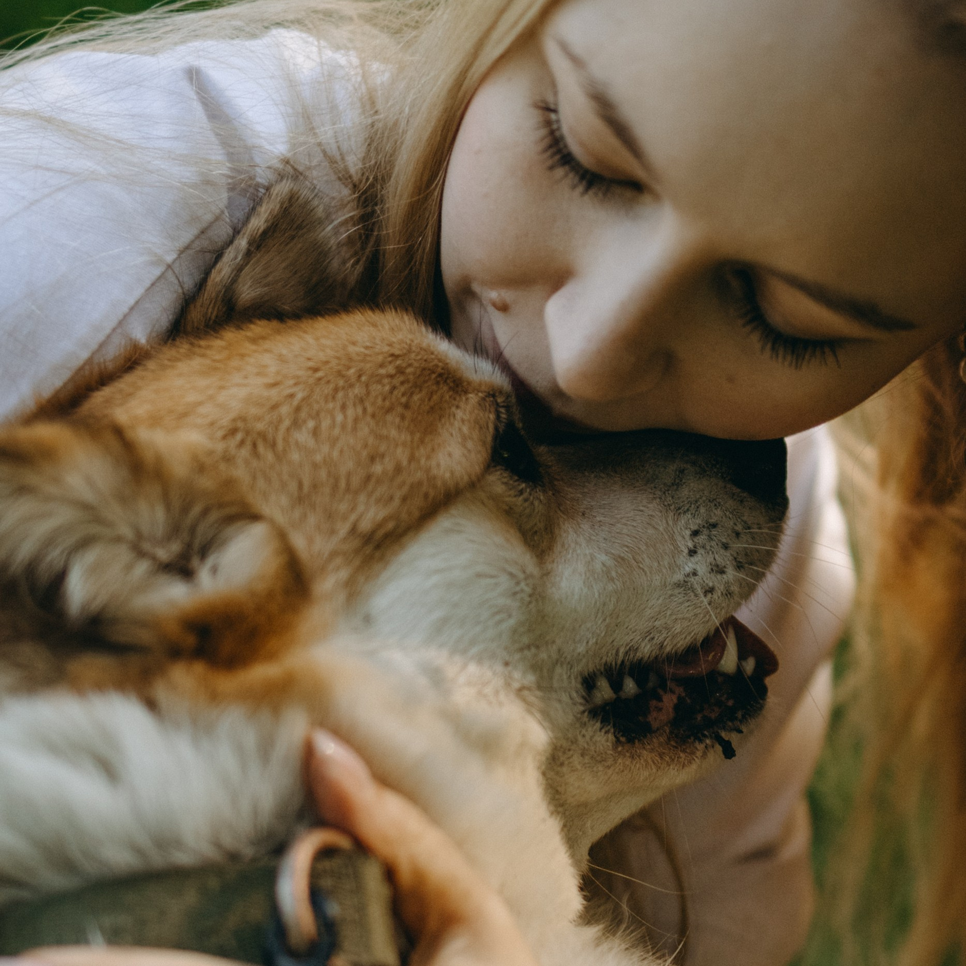 Отзывы. Фотограф — Анималист | Санкт-Петербург