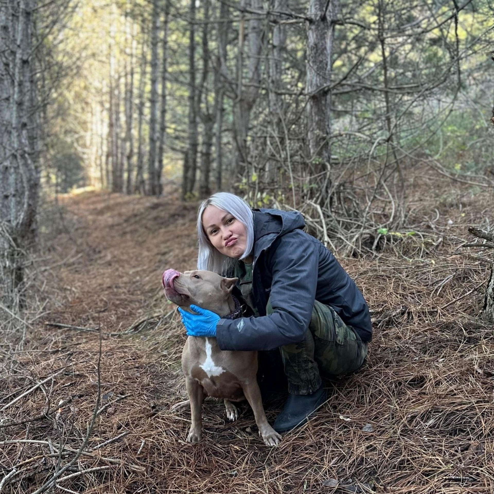Фото галлерея американских булли. ПИТОМНИК СОБАК ПОРОДЫ АМЕРИКАНСКИЙ БУЛЛИ