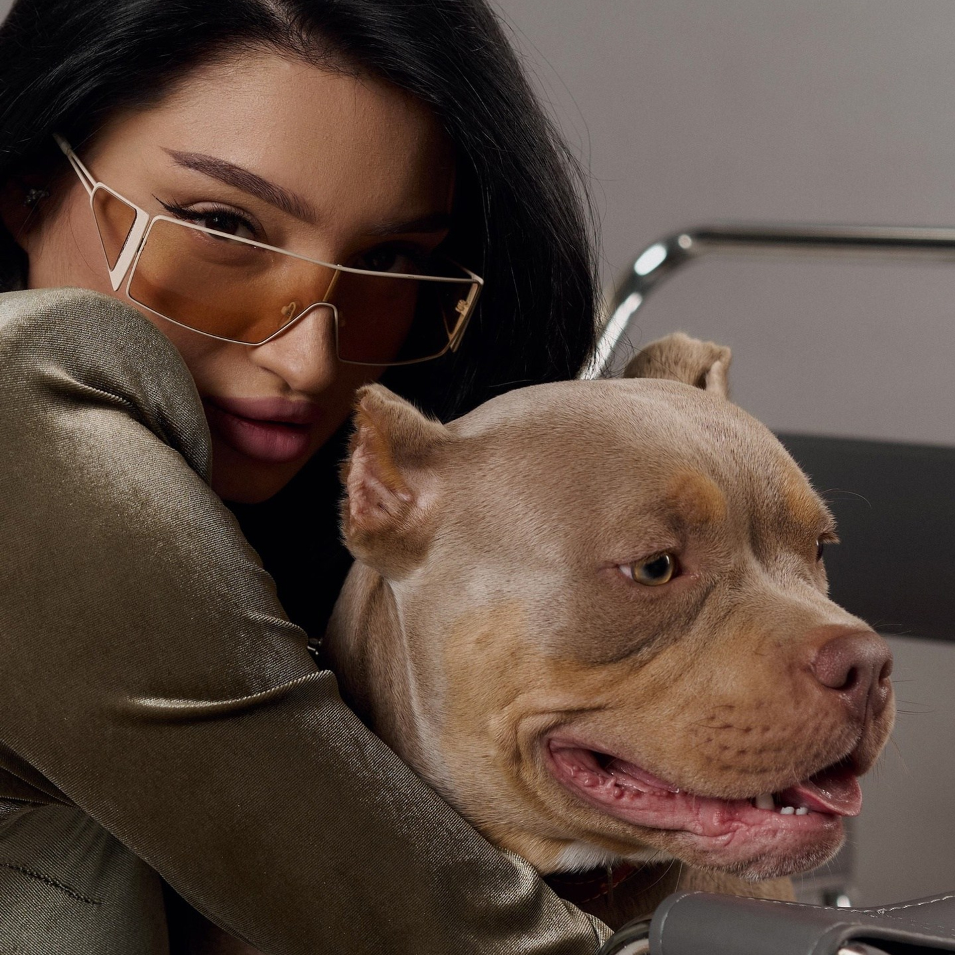 Фото галлерея американских булли. ПИТОМНИК СОБАК ПОРОДЫ АМЕРИКАНСКИЙ БУЛЛИ