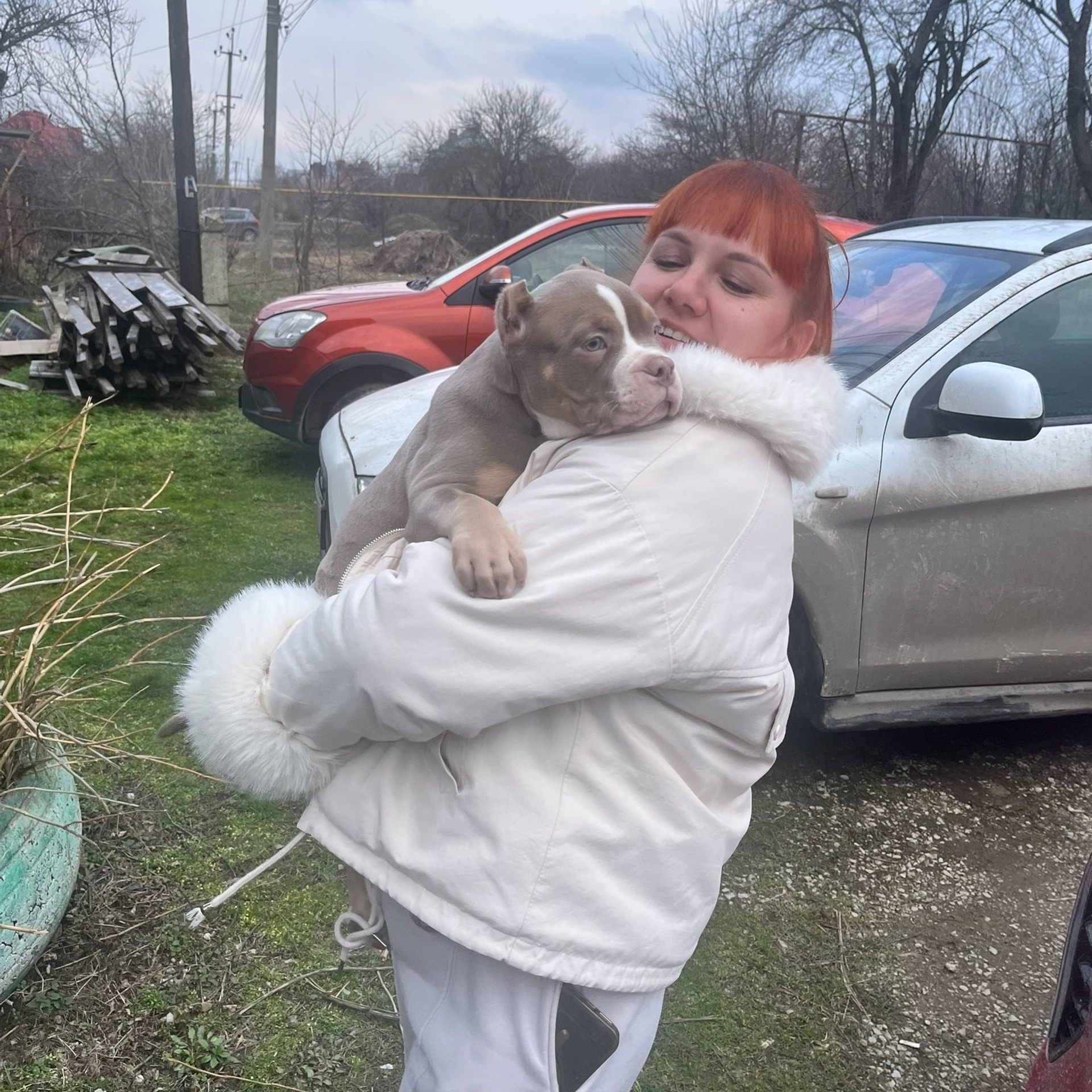 Отзывы сайта. ПИТОМНИК СОБАК ПОРОДЫ АМЕРИКАНСКИЙ БУЛЛИ