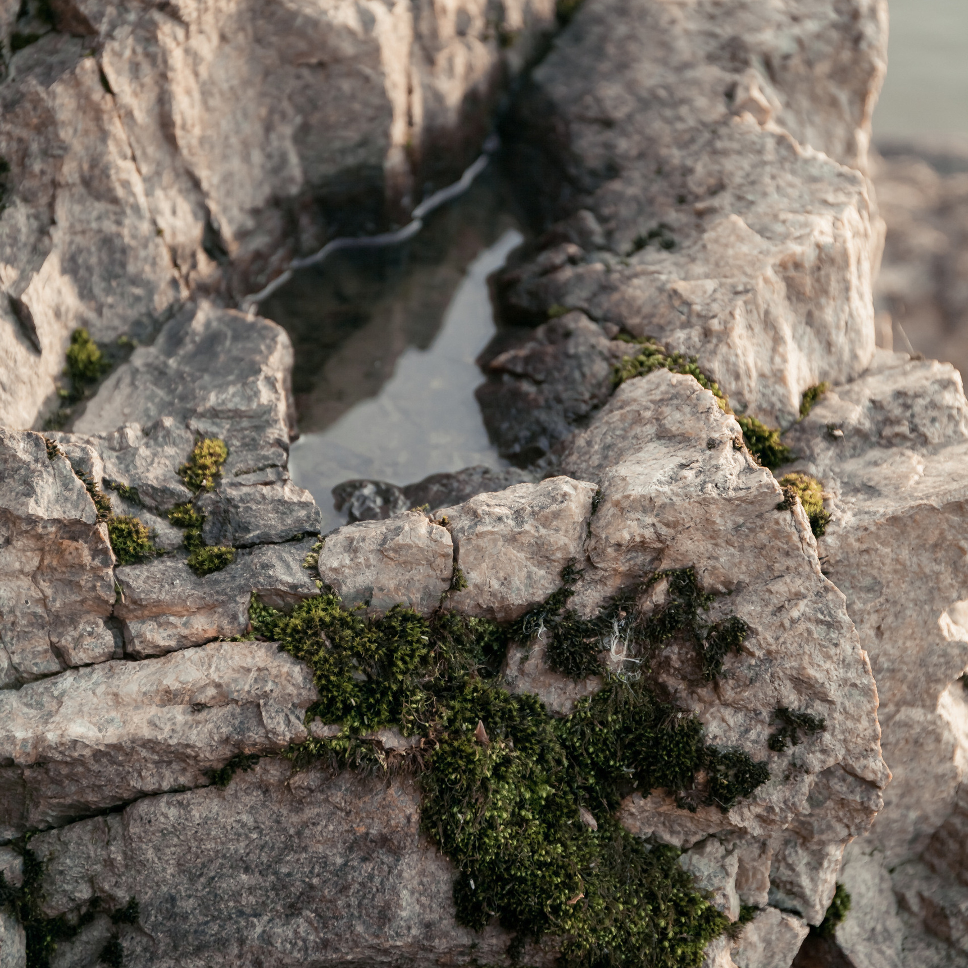 Отзывы. Главная