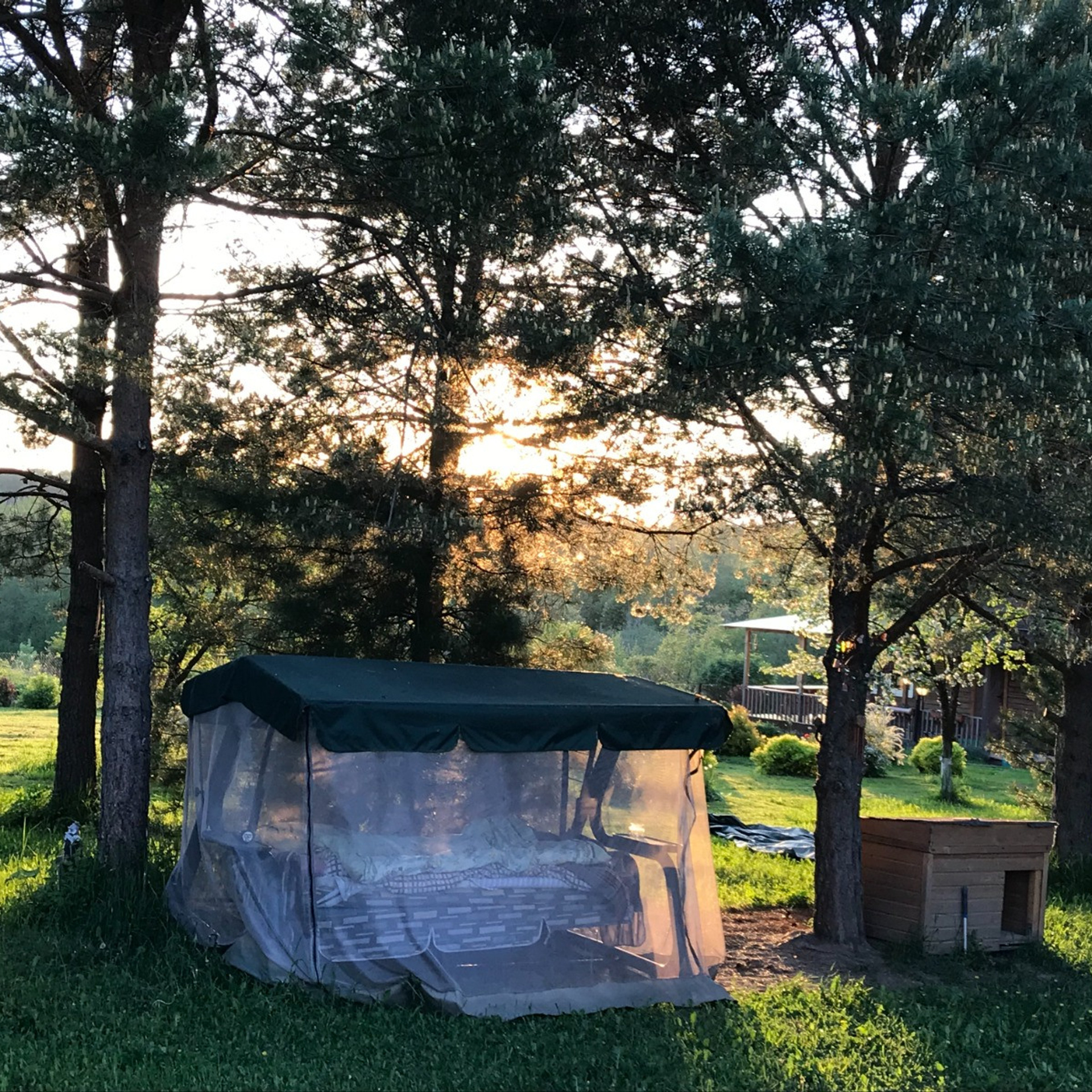 Эко отдых в Подмосковье в эко-отеле Марии Гиппенрейтер