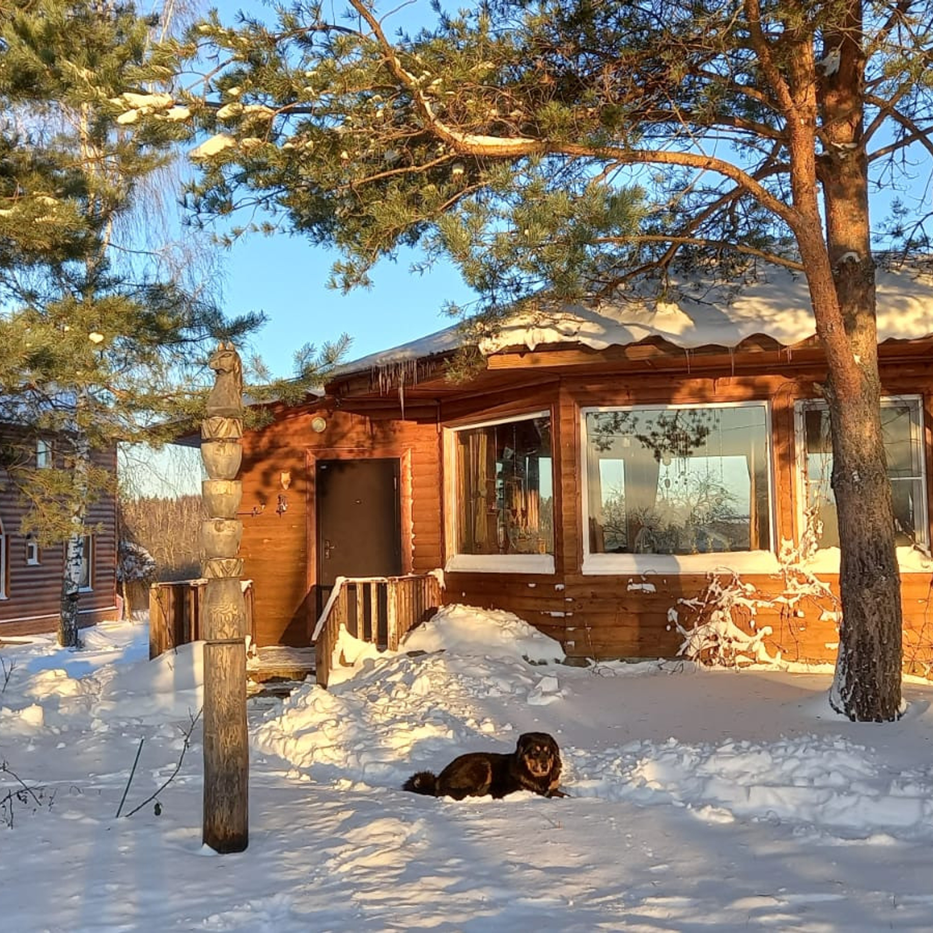 Экоферма в Подмосковье — Марии Гиппенрейтер