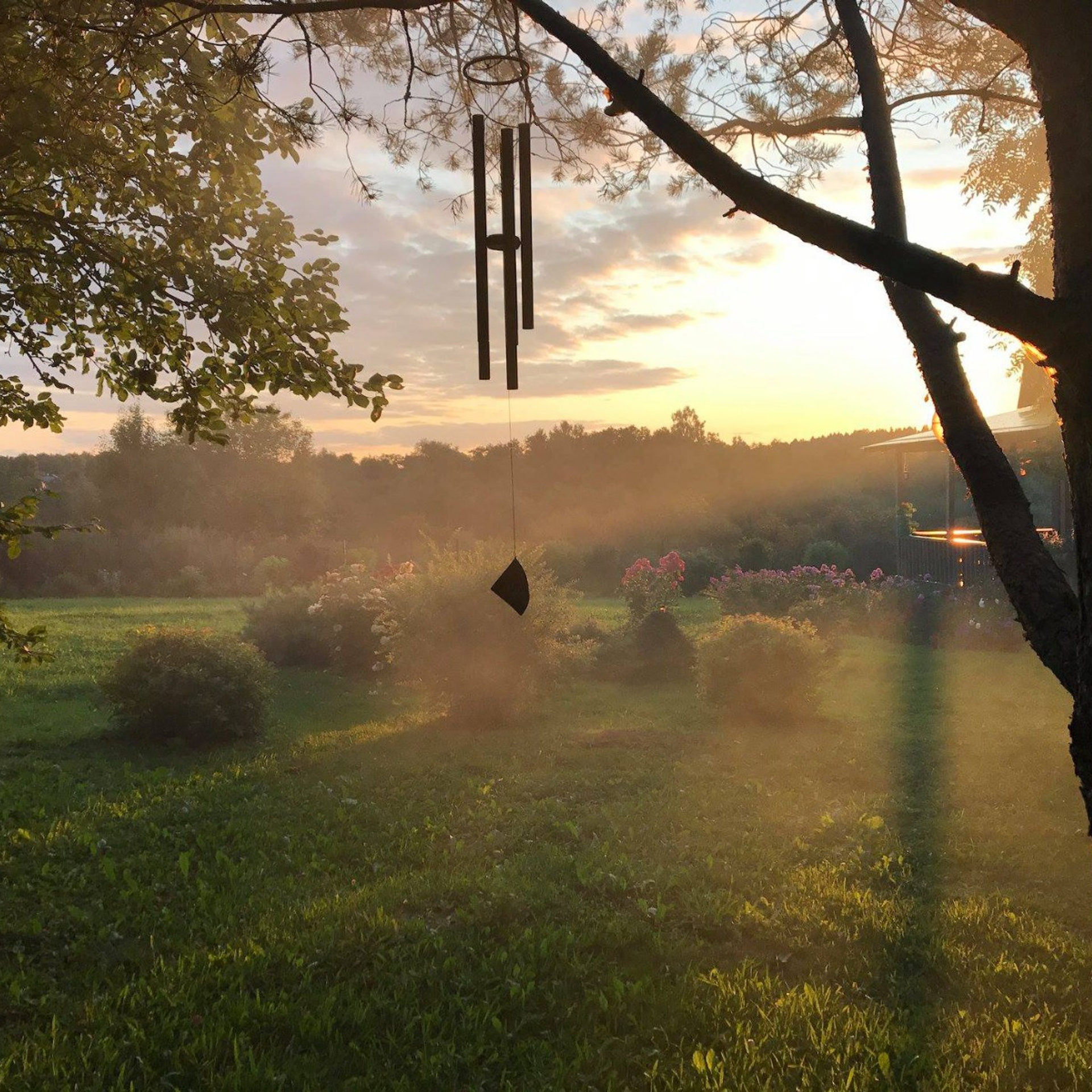 Эко отдых в Подмосковье в эко-отеле Марии Гиппенрейтер