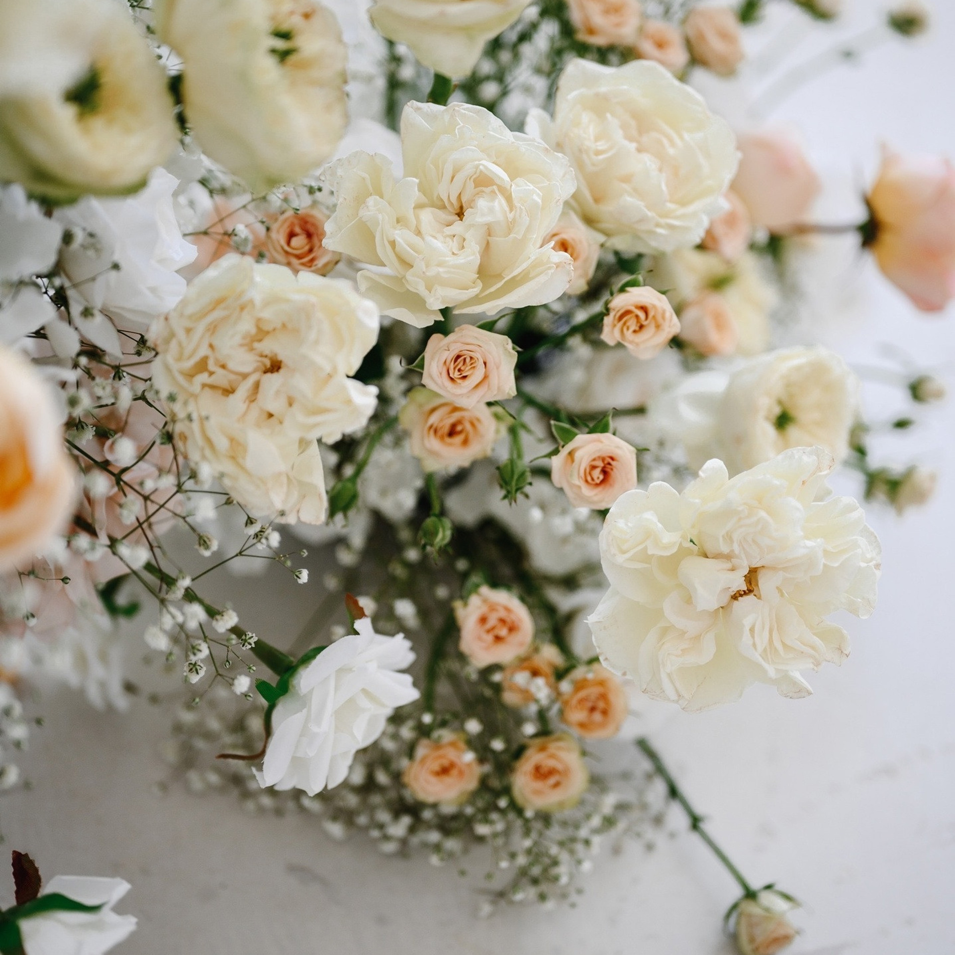 Утро невесты