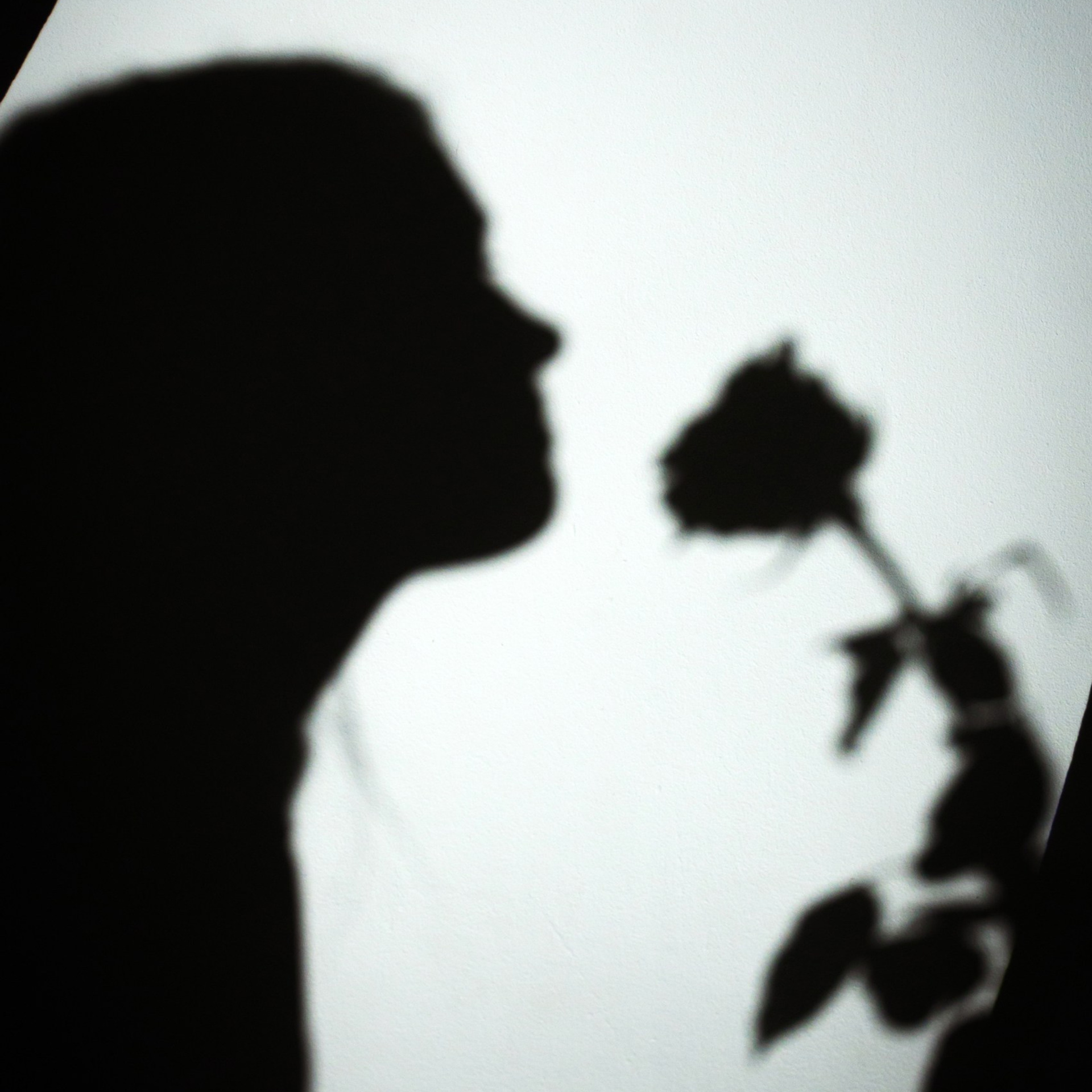 Отзывы. Фотограф Щелково, Королев, Балашиха, Москва Анастасия Тягина