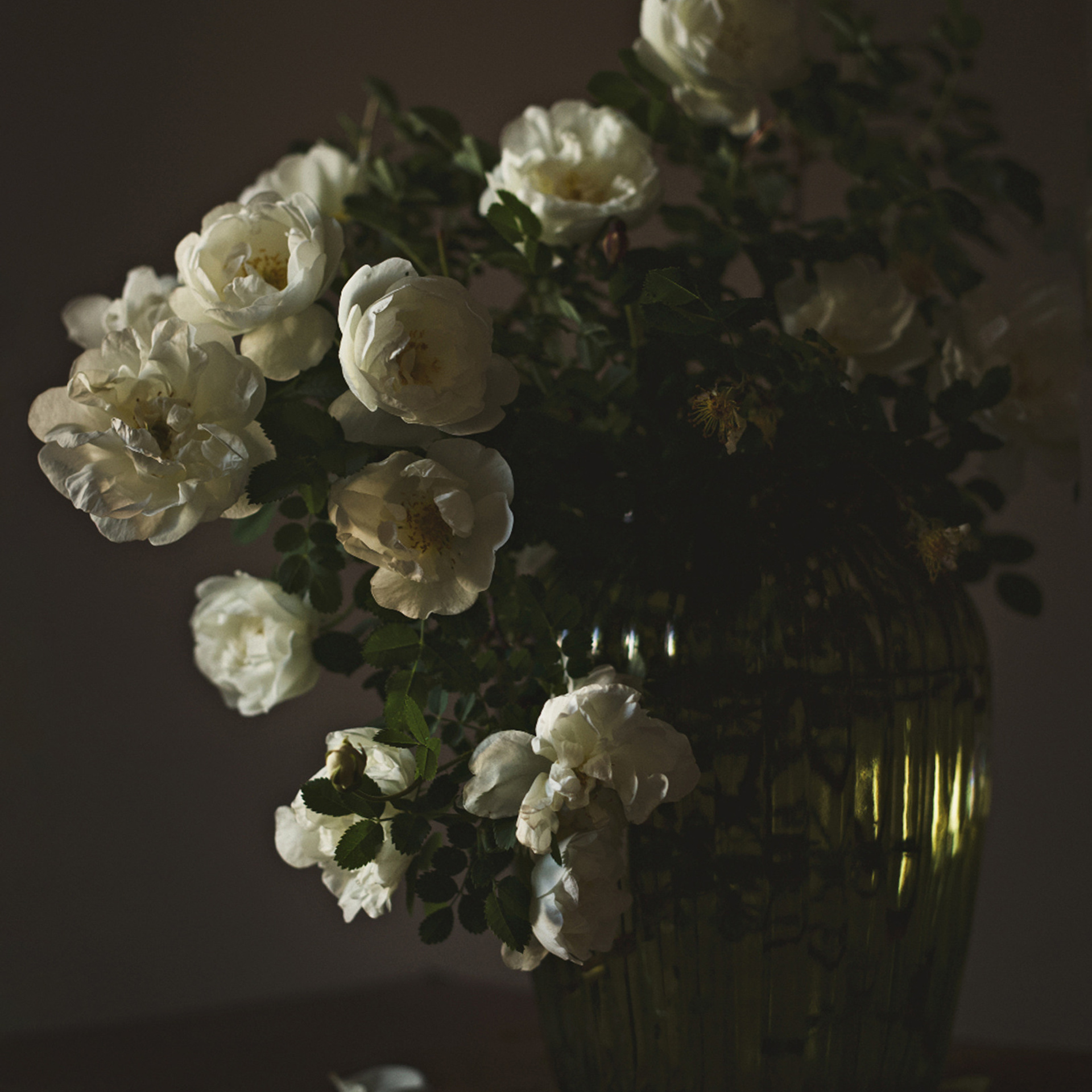 Натюрморты