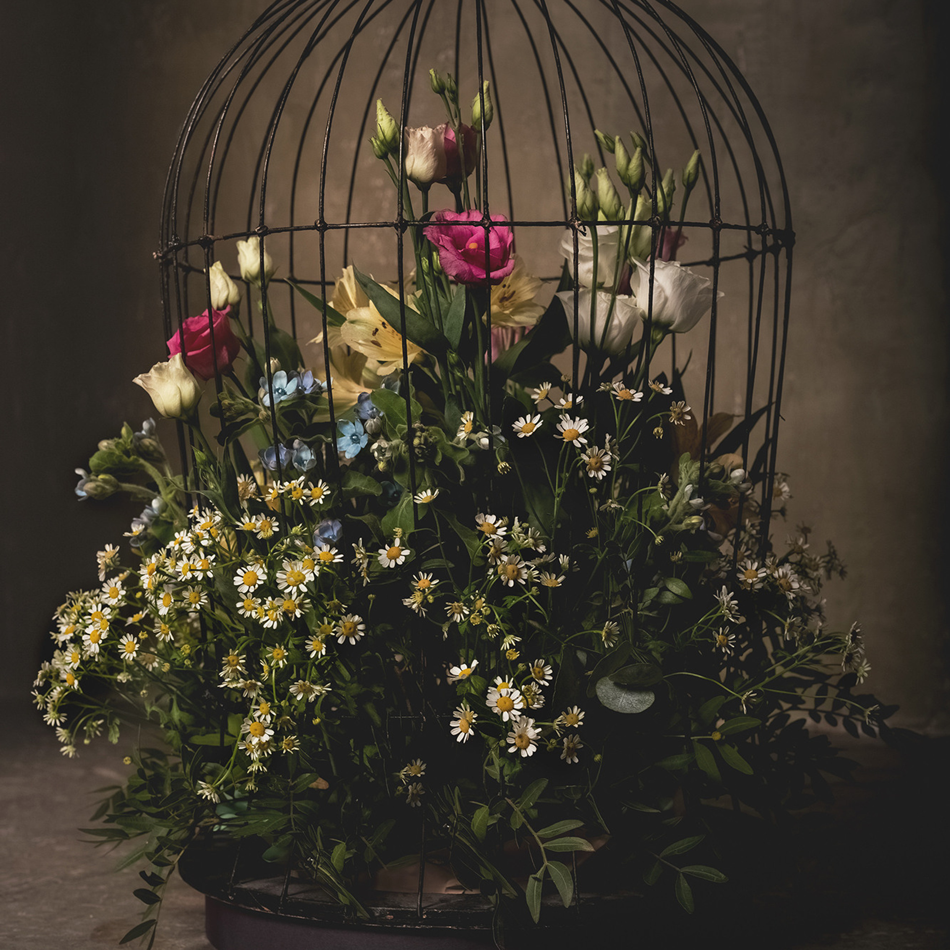 Натюрморты