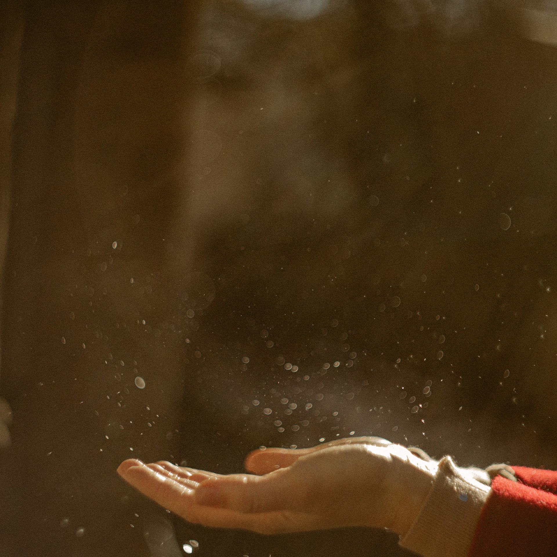 Отзывы. Фотоистории в Ставрополе и Костроме Eva Vladi