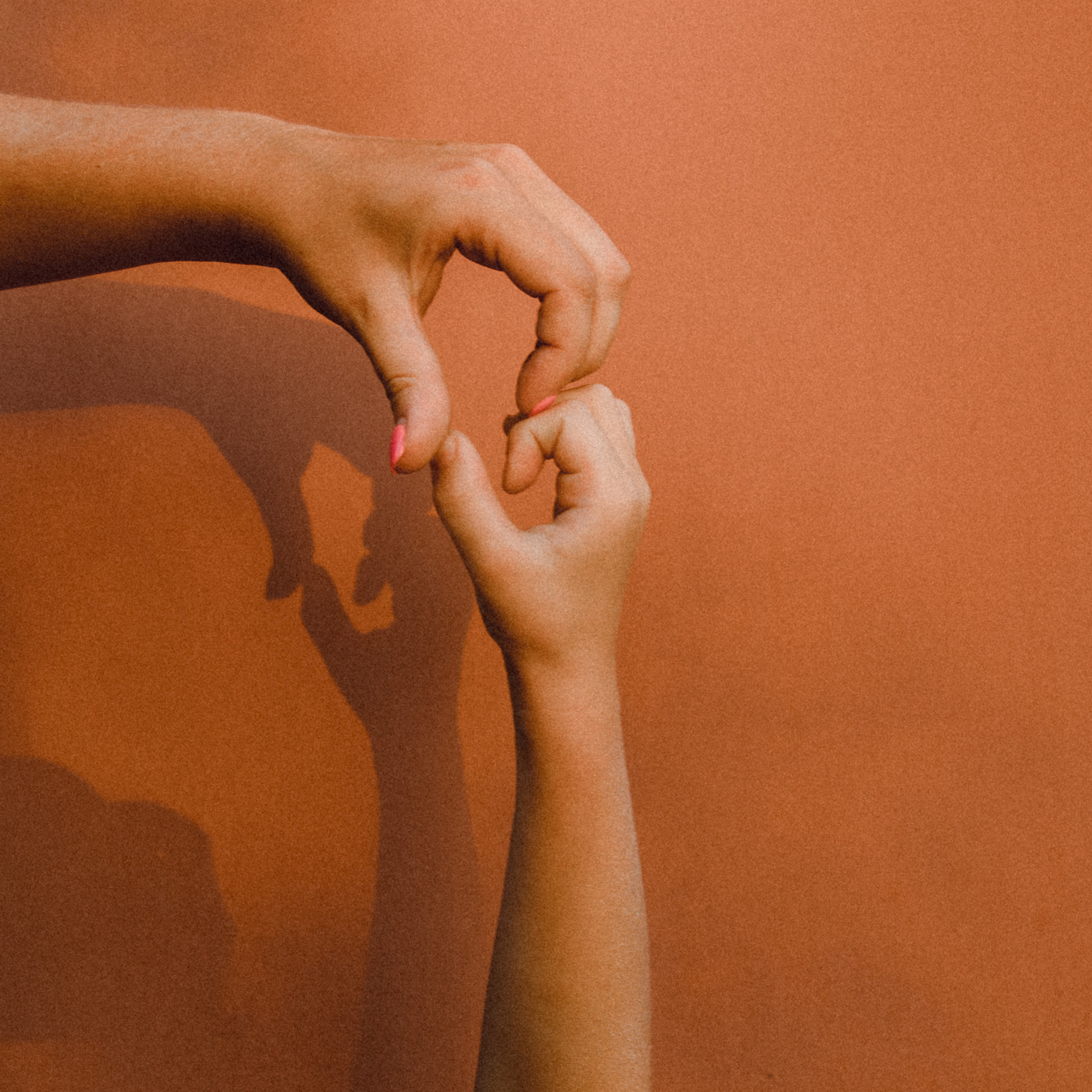 Отзывы. Фотоистории в Ставрополе и Костроме Eva Vladi