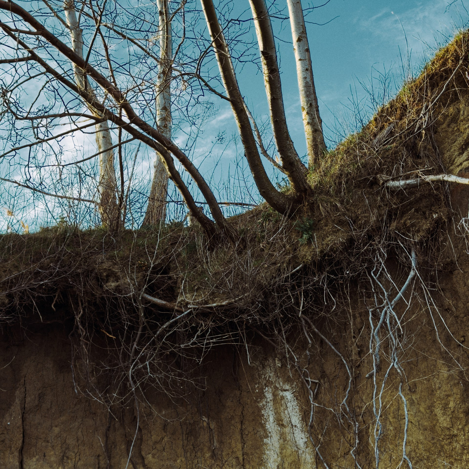 Пейзажи и&nbsp;уличная съёмка