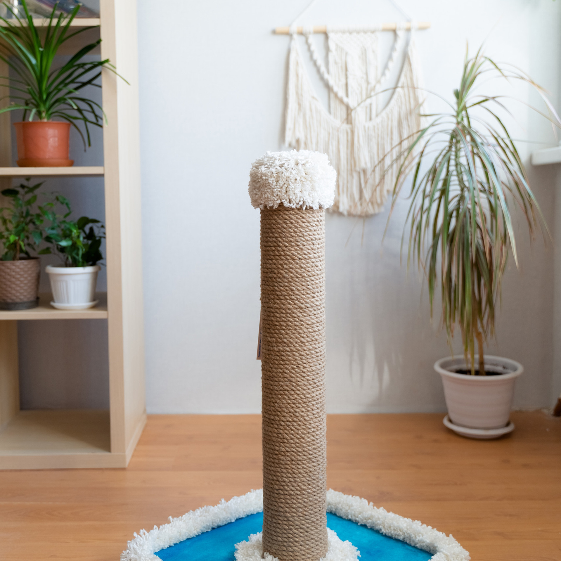 Отзывы. Семейный и детский фотограф в Сыктывкаре Маргарита Юдина