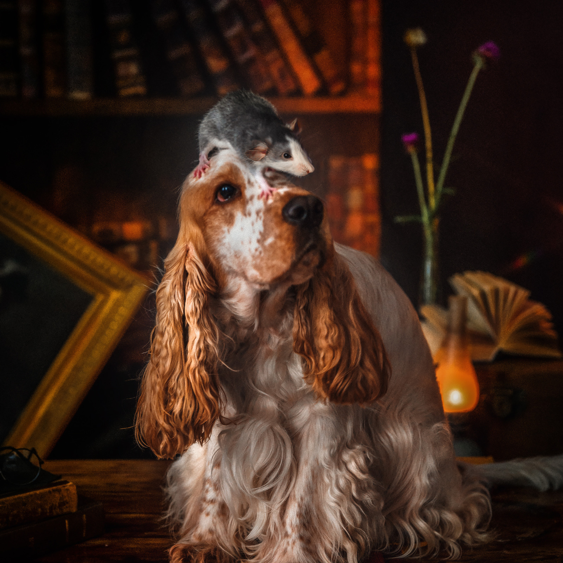 ЧЕДДЕР и ЛЁНЯ