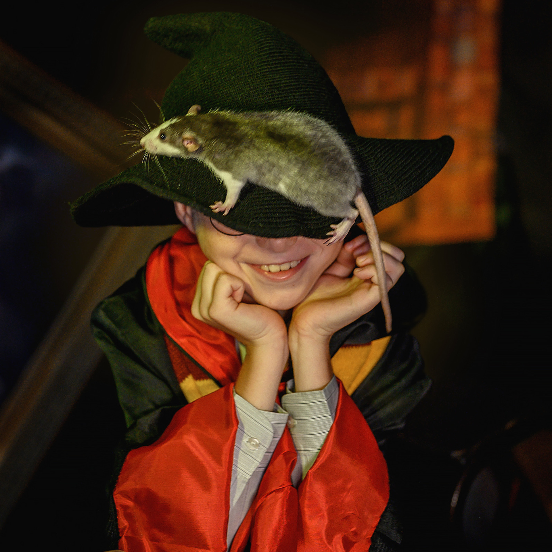 ГАРРИ — ПОТТЕР