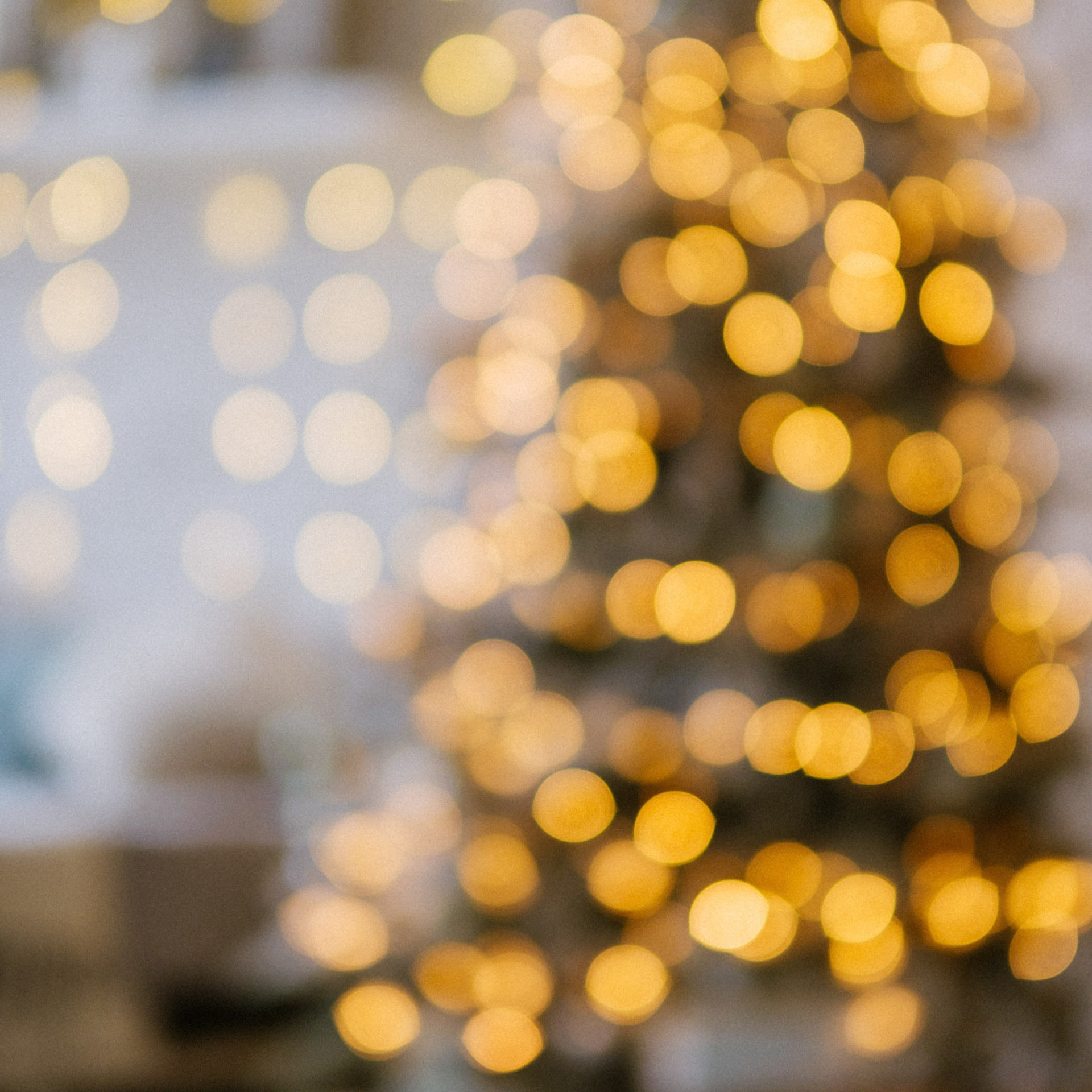 Отзывы. Свадебный фотограф в Москве Денис Анурьев