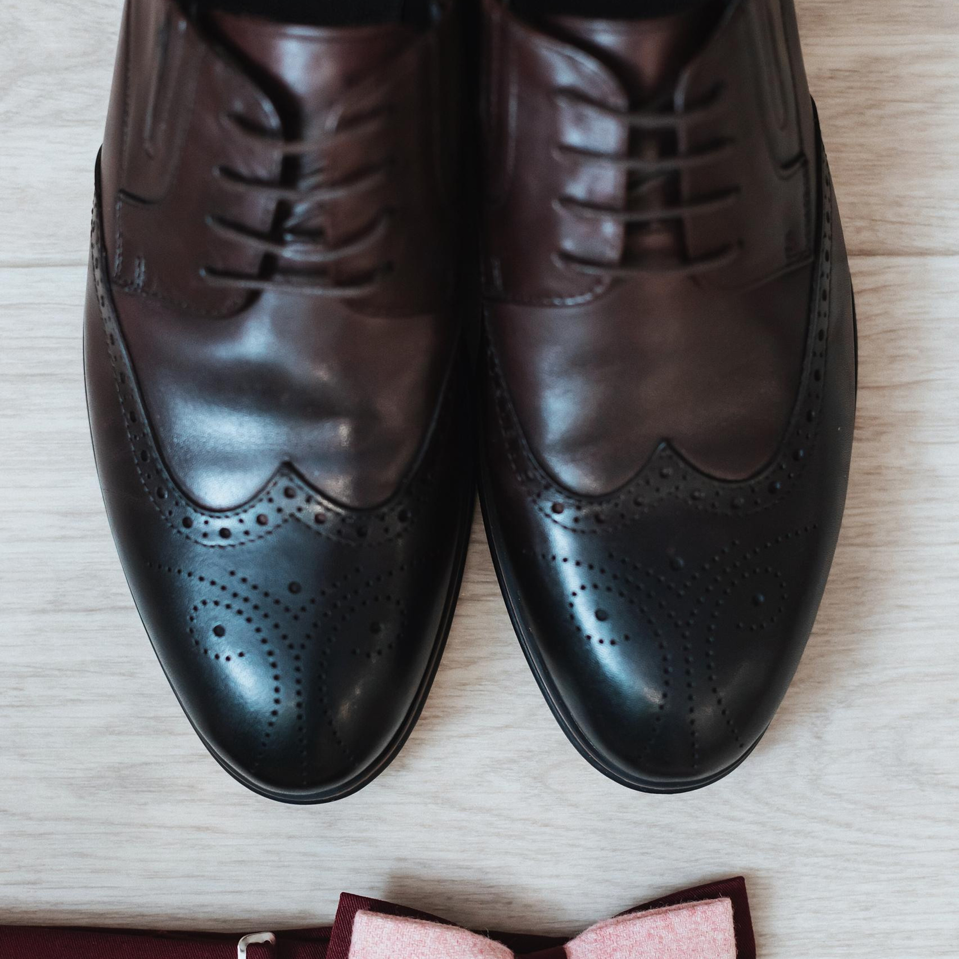 Feedback. Алёна Киселёва | фотограф