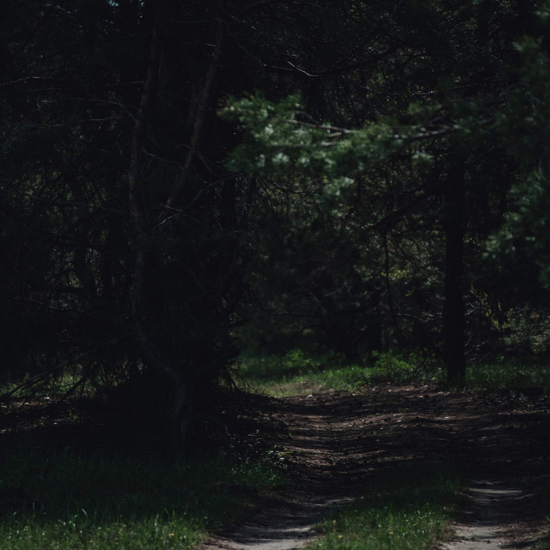 Отзывы моих клиентов. Предметный контент — фотограф в Саратове Юлия