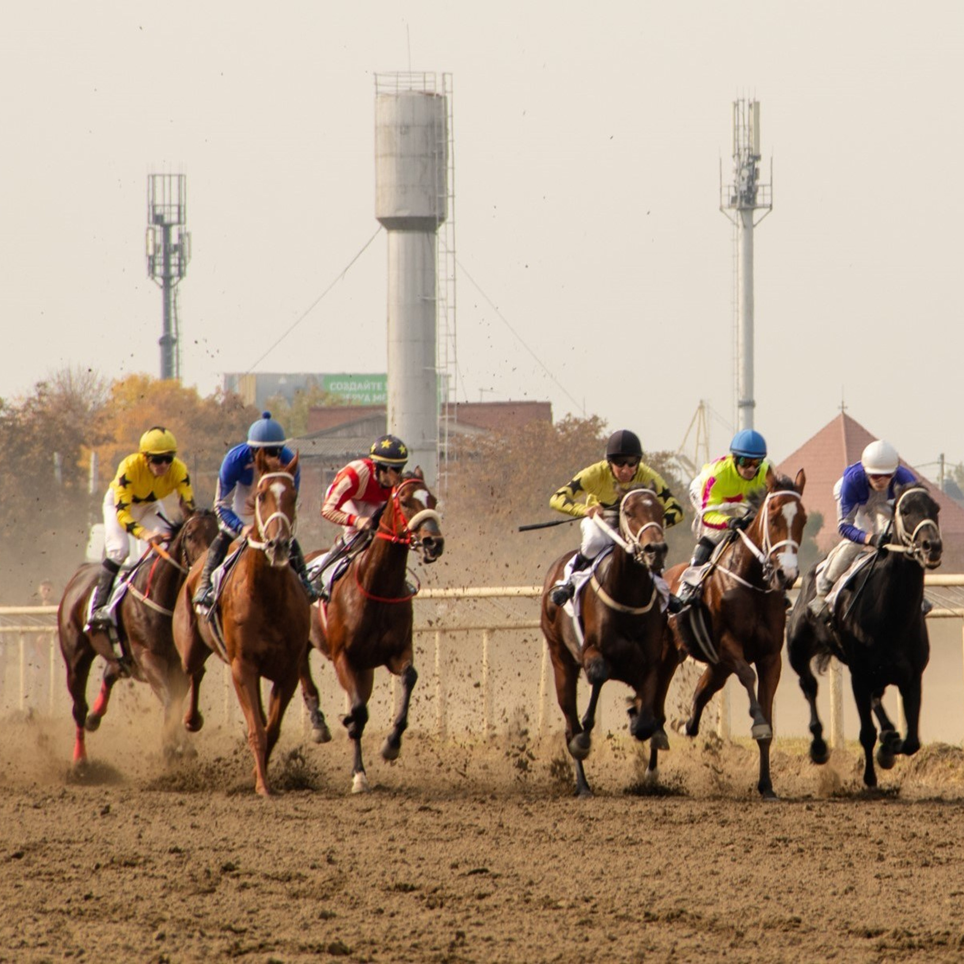 Закрытие скакового сезона на Краснодарском ипподроме