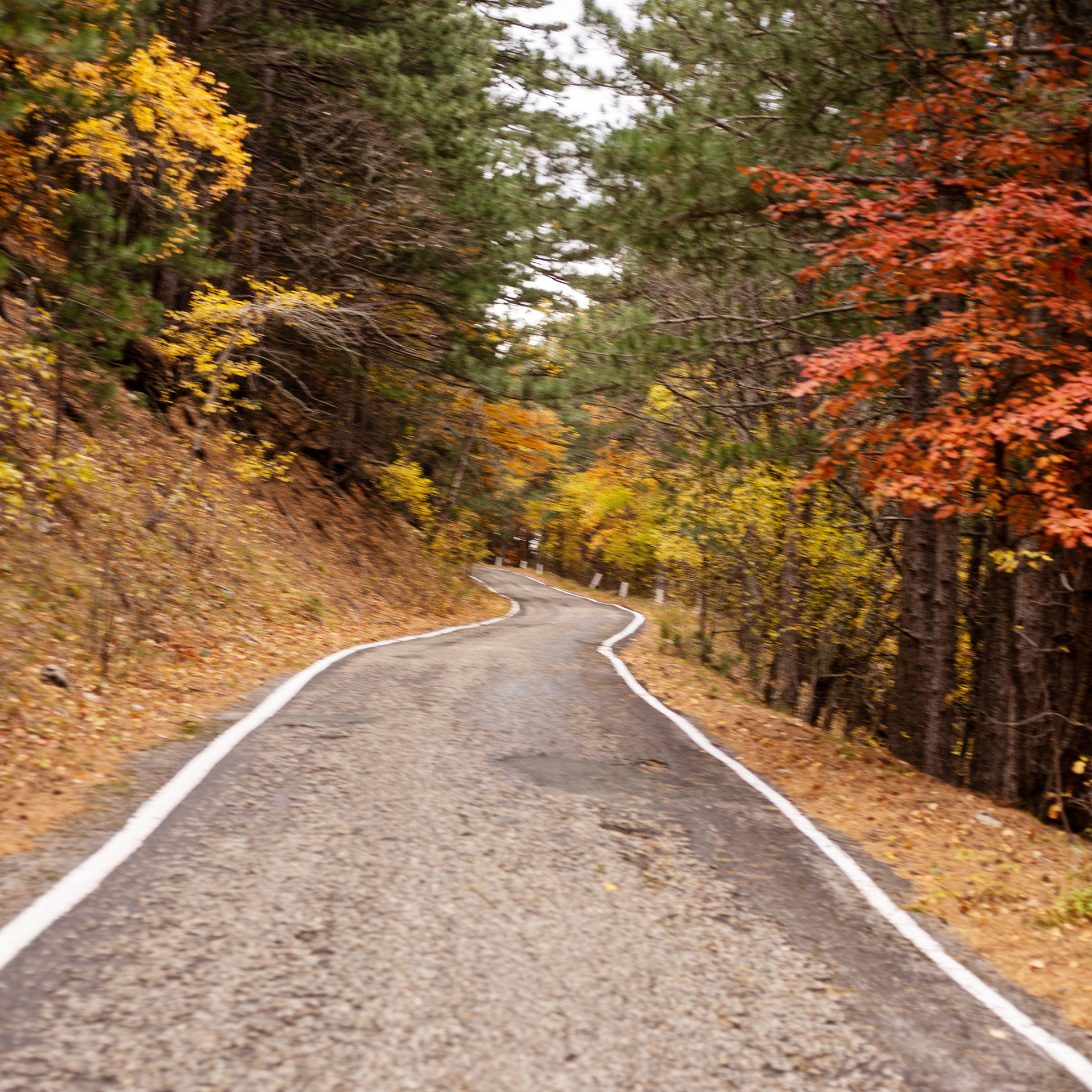 Отзывы. Детская фотостудия Ангел Симферополь