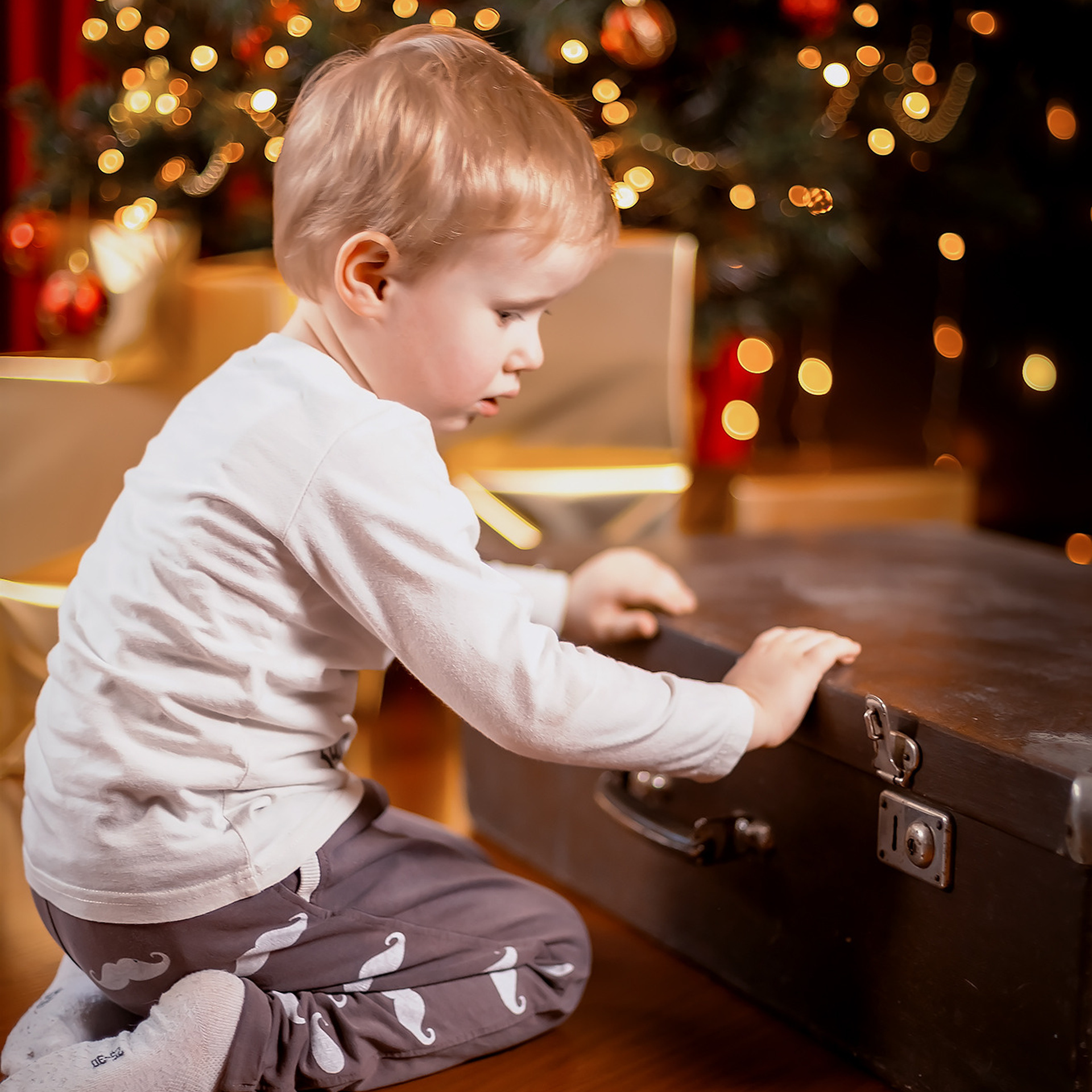 Отзывы. Семейный и школьный фотограф г. Куртамыш Курганской области