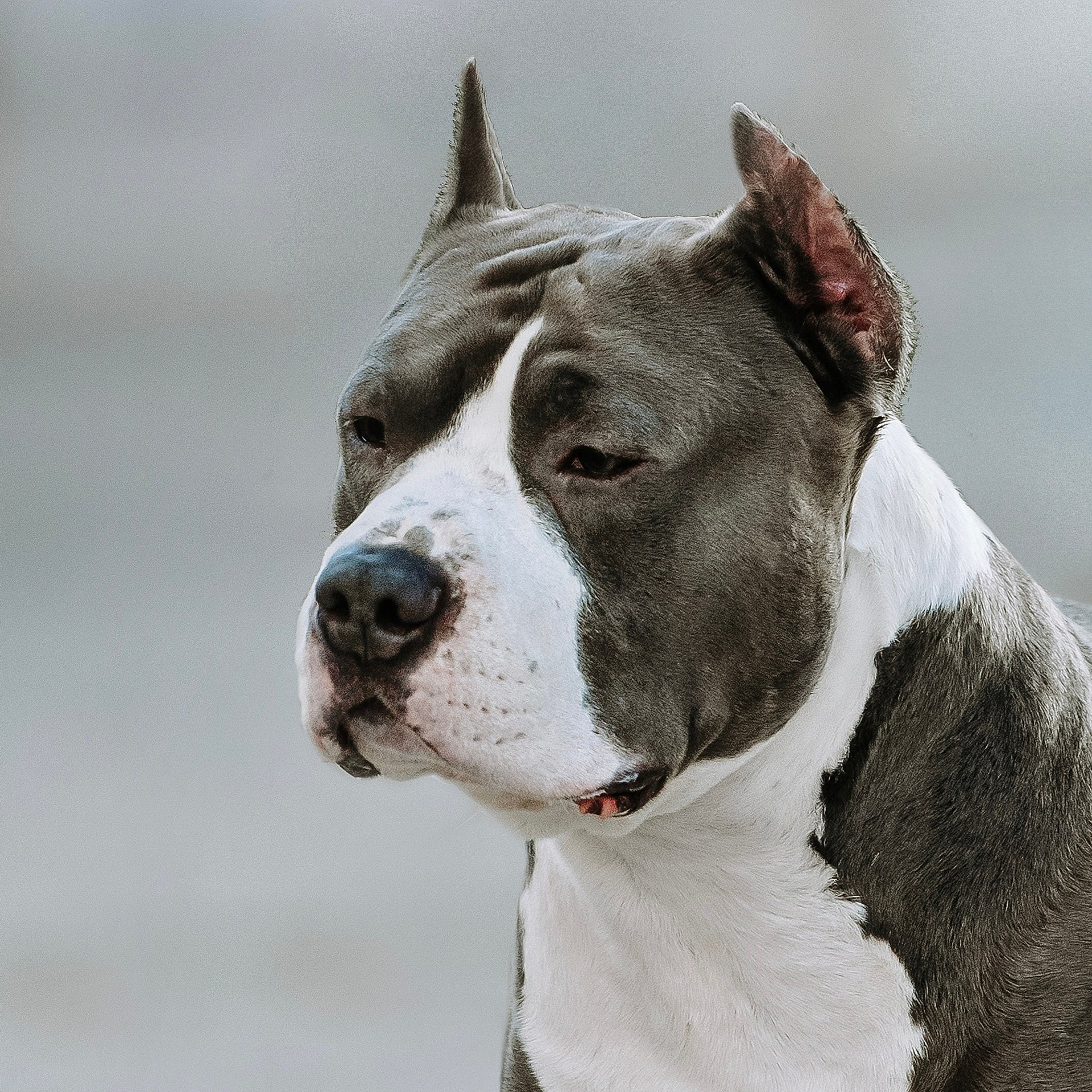 Отзывы. Фотограф Диана Оленина Красноярск / Братск